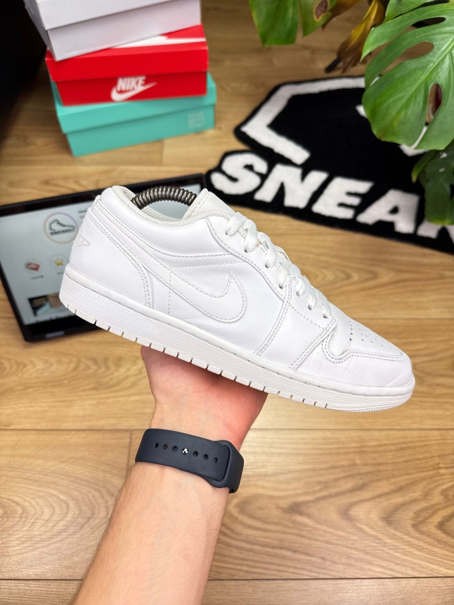 Nike Air Jordan 1 Low (42)