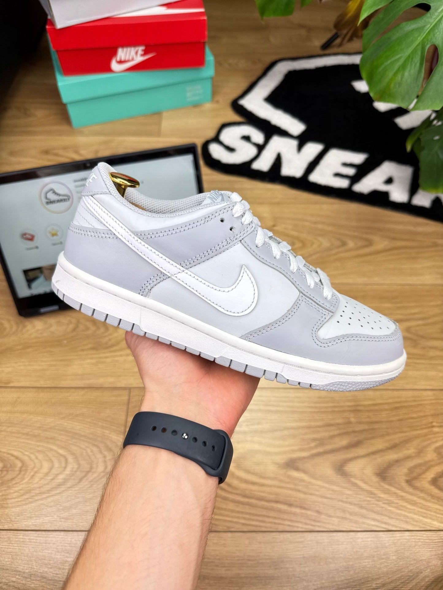 Nike Dunk low (39)