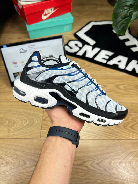 Nike Air Max Plus (42)