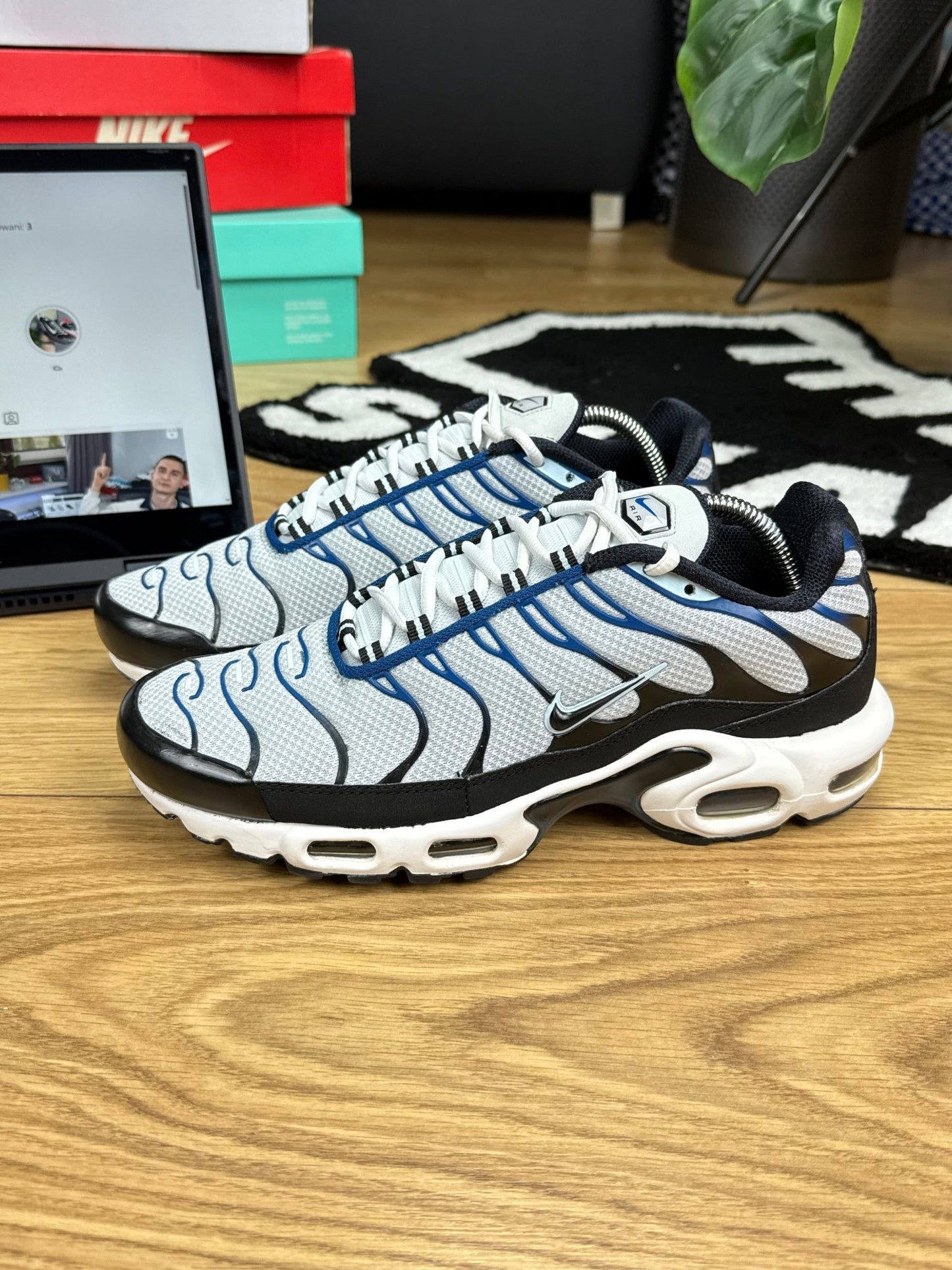 Nike Air Max Plus (42)
