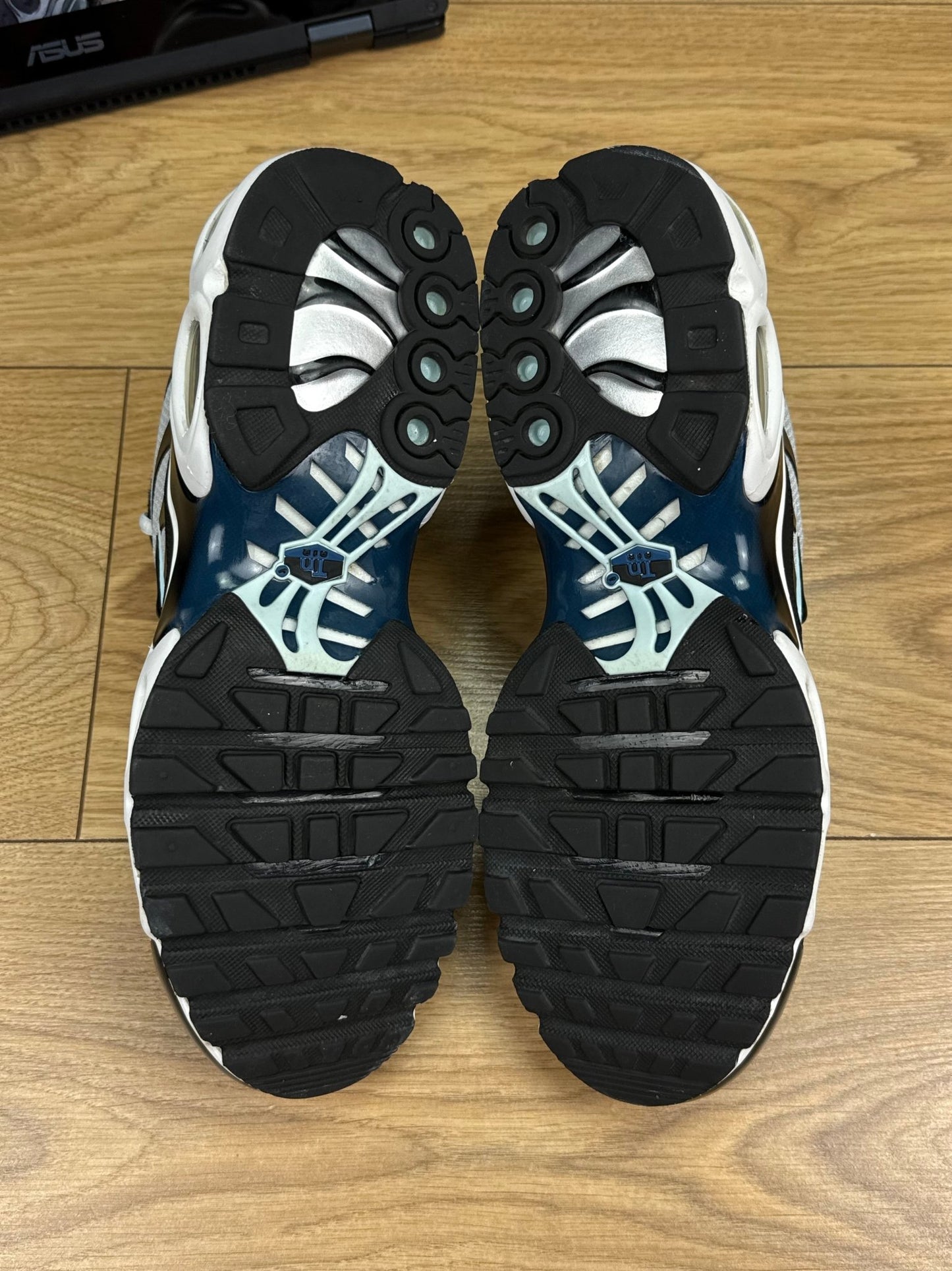 Nike Air Max Plus (42)