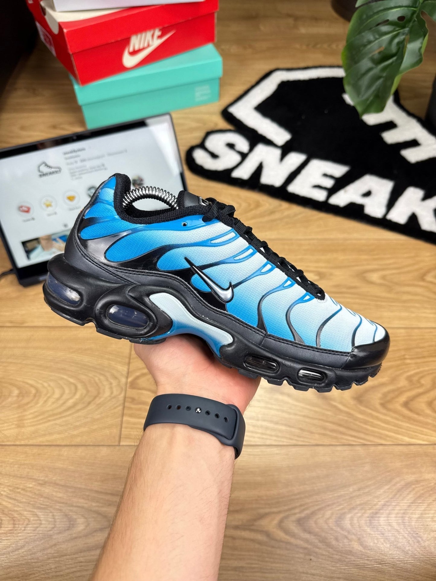 Nike Air Max Plus (41)