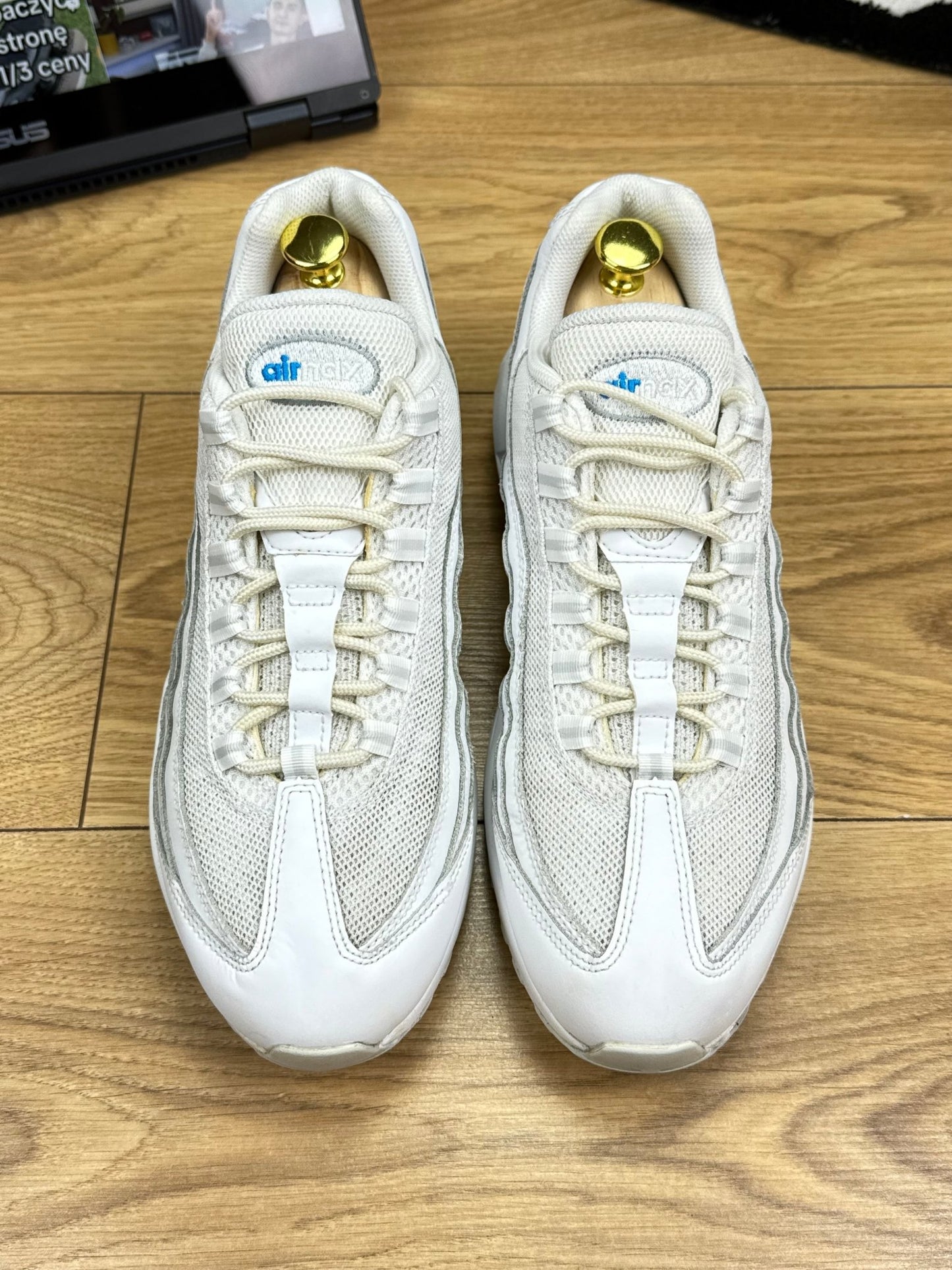 Nike Air Max 95 (42.5)