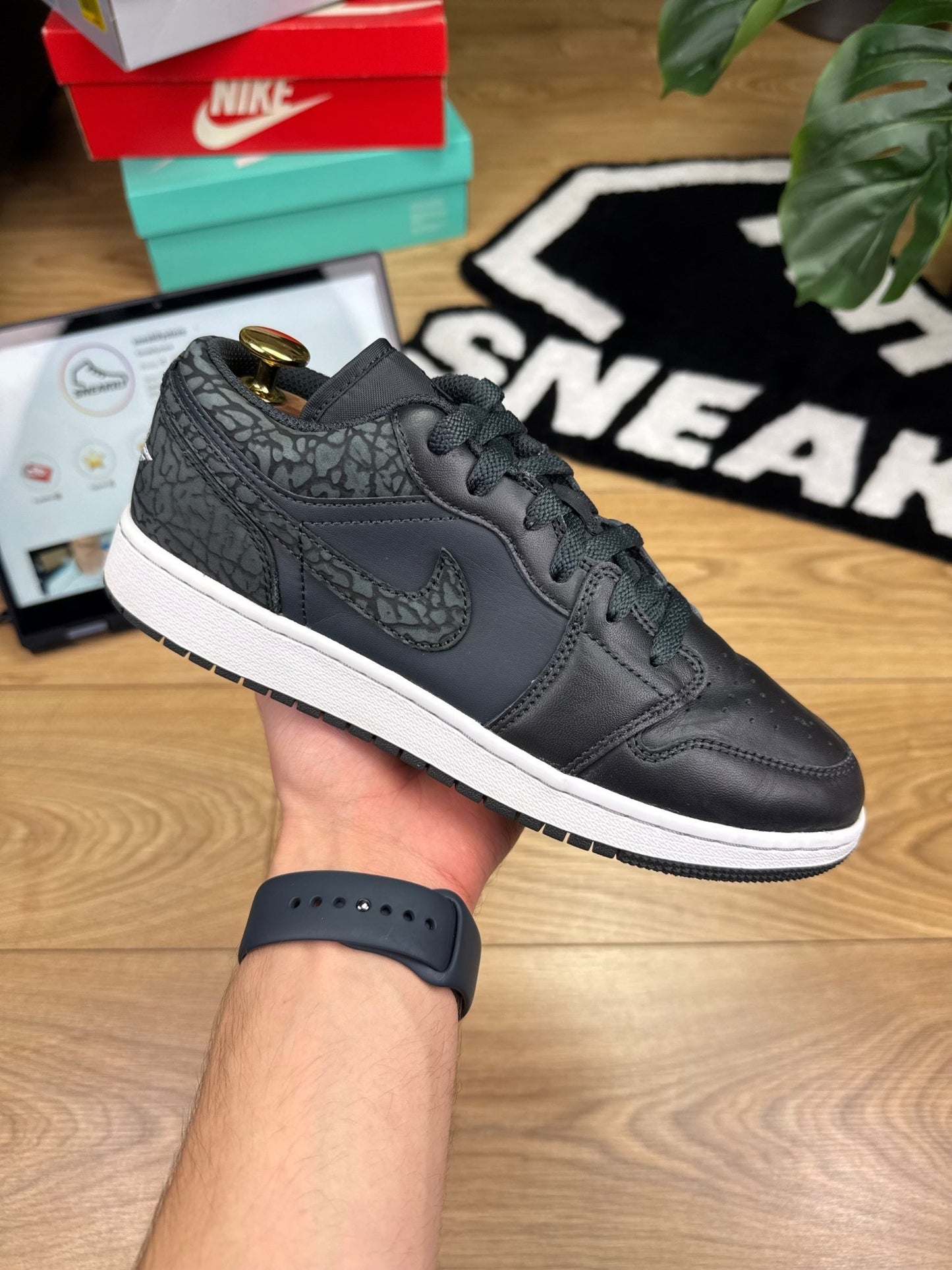 Nike Air Jordan 1 Low (40)
