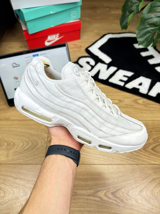Nike Air Max 95 (46)