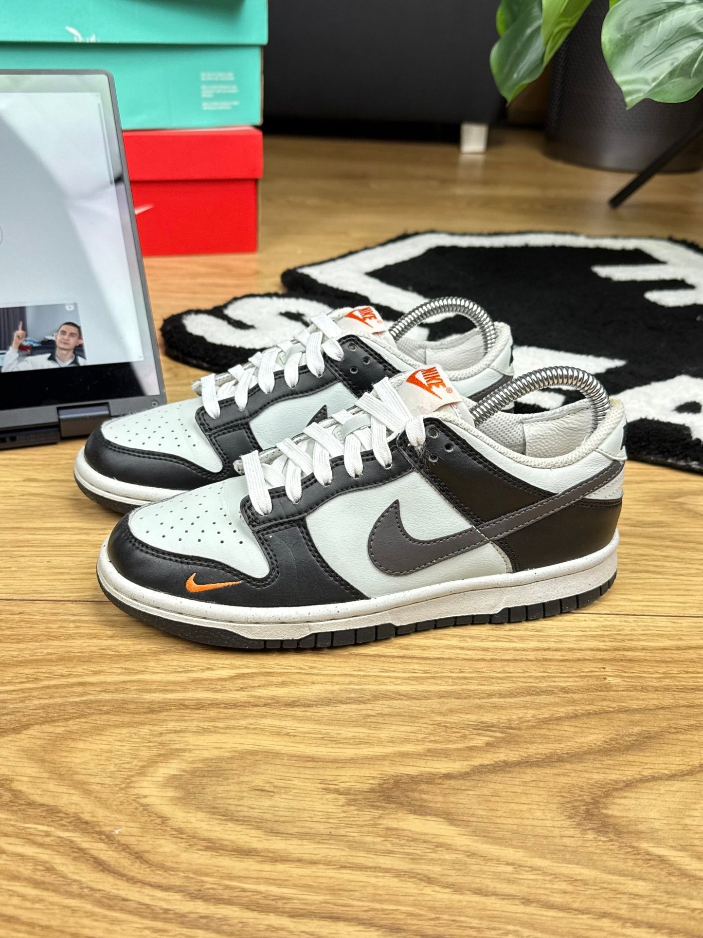 Nike Dunk Low (36)