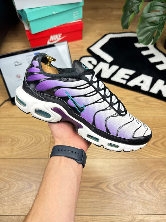 Nike Air Max Plus Reverse Grape (45)