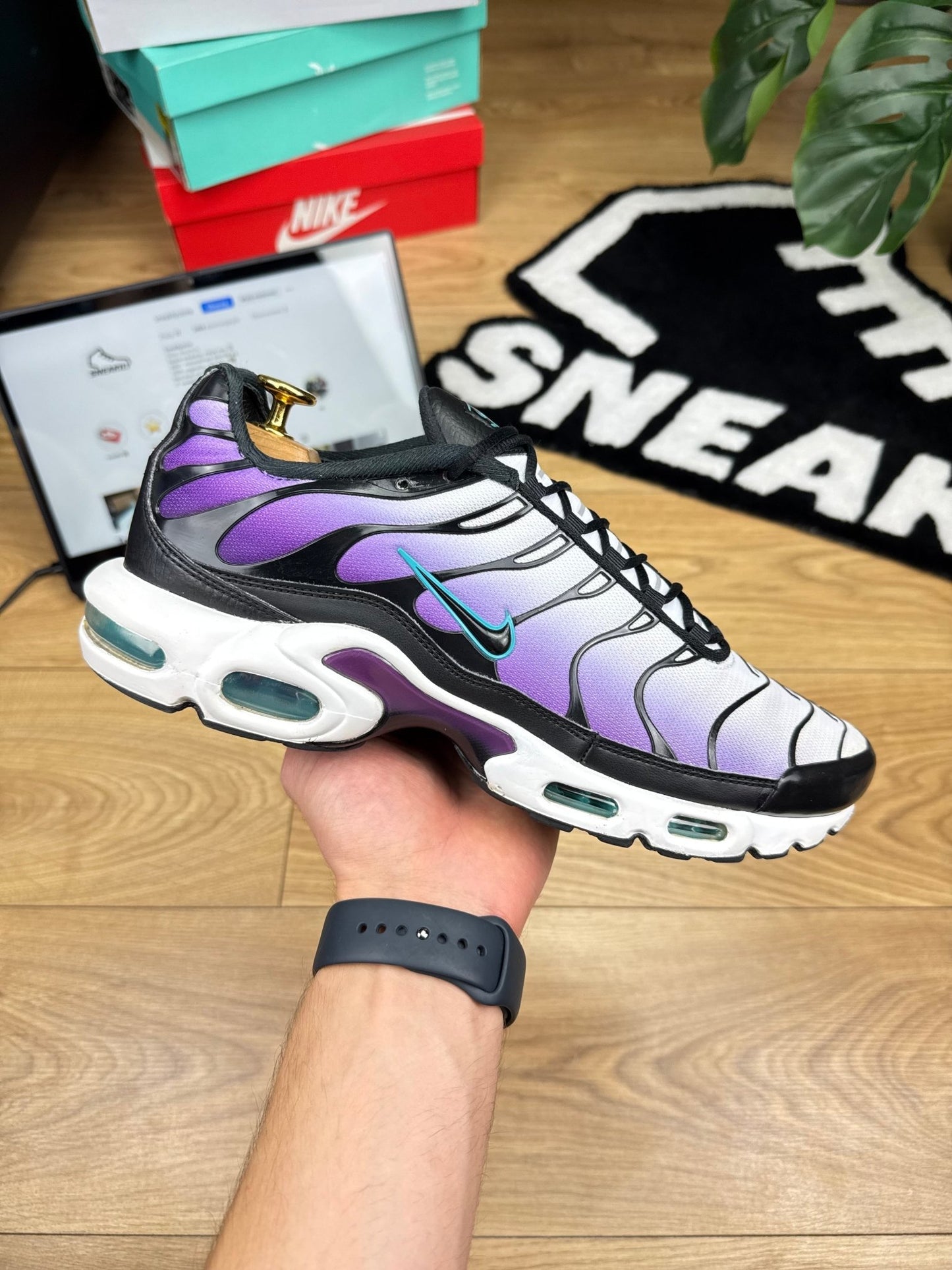 Nike Air Max Plus Reverse Grape (45)