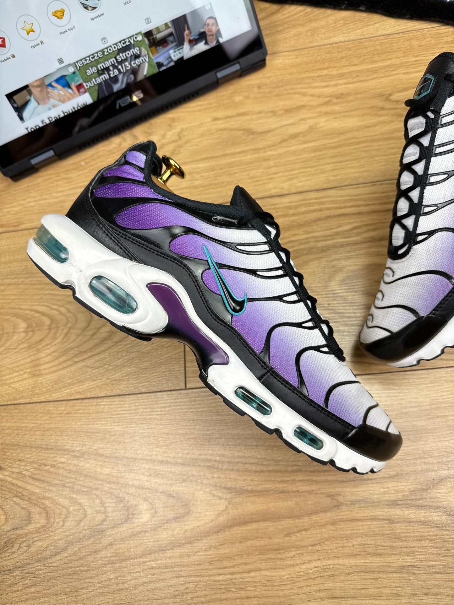 Nike Air Max Plus Reverse Grape (45)
