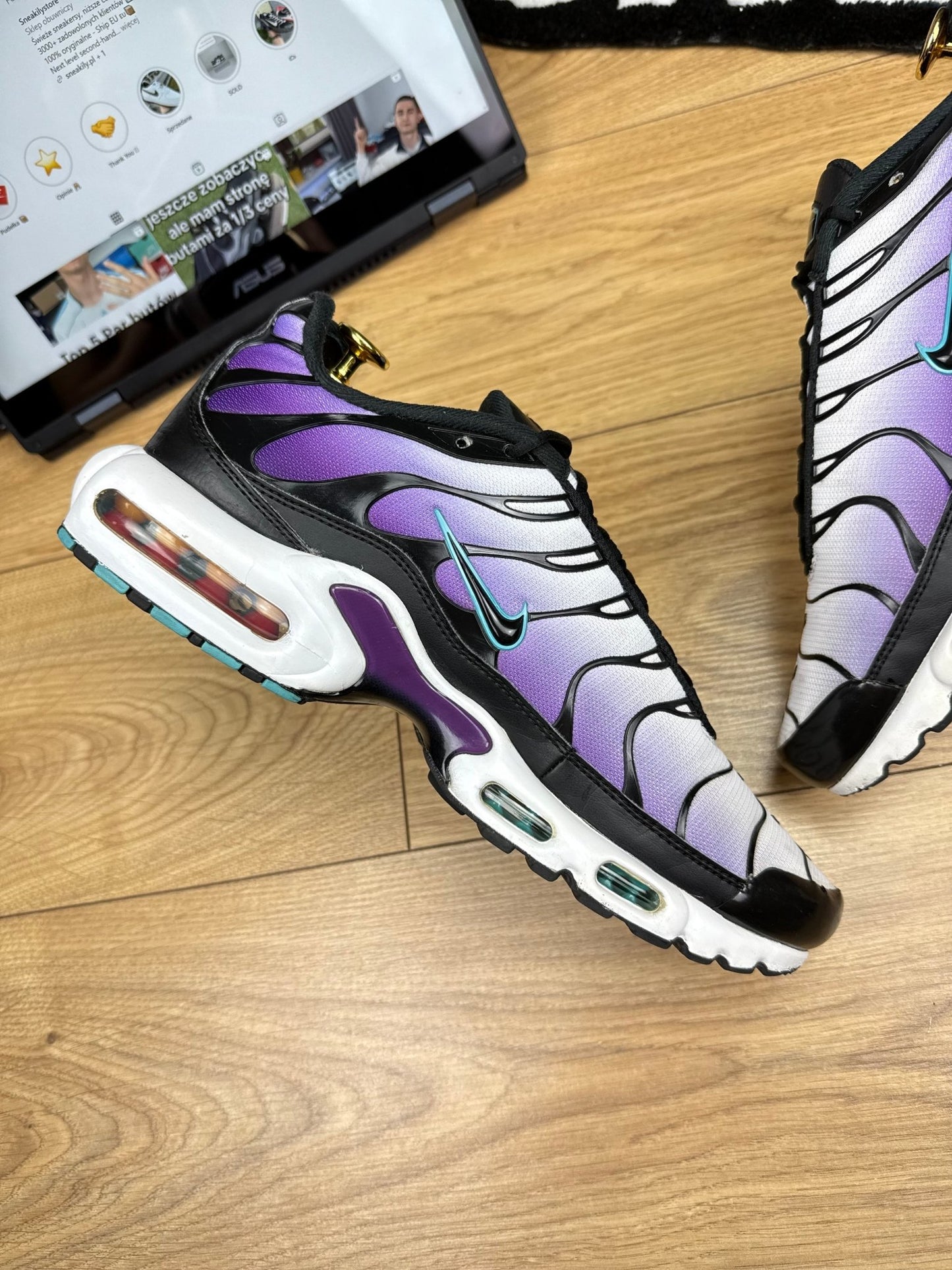 Nike Air Max Plus Reverse Grape (45)