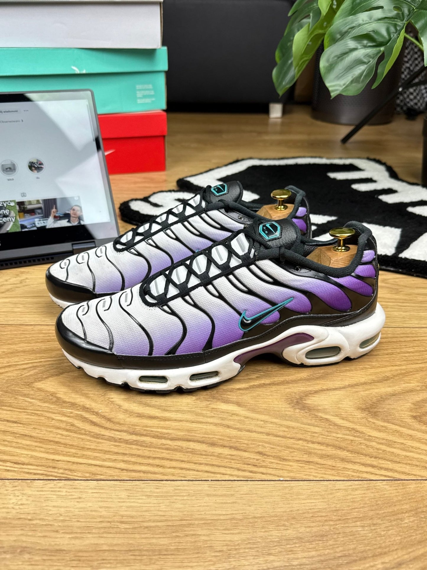 Nike Air Max Plus Reverse Grape (45)
