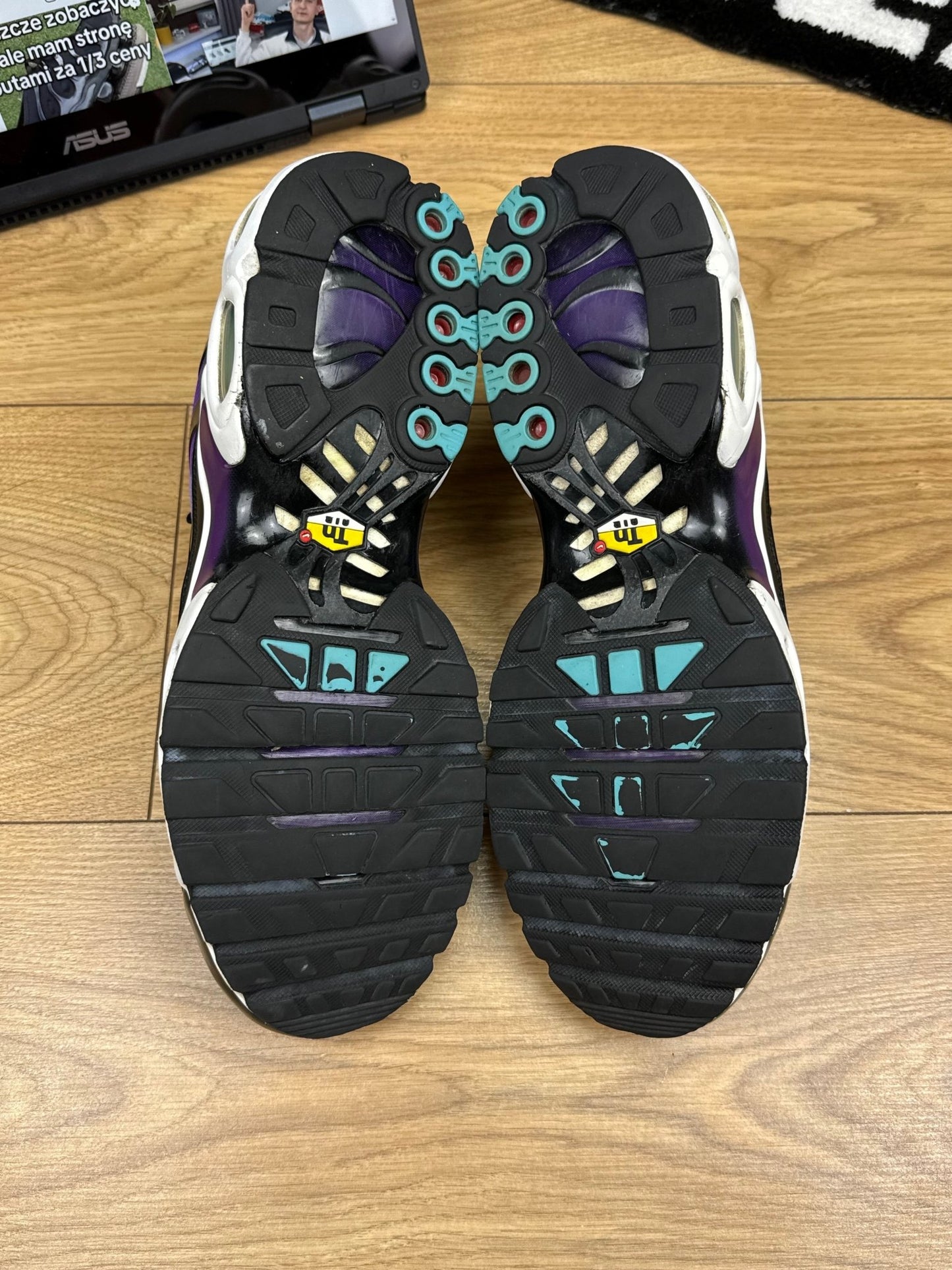 Nike Air Max Plus Reverse Grape (45)