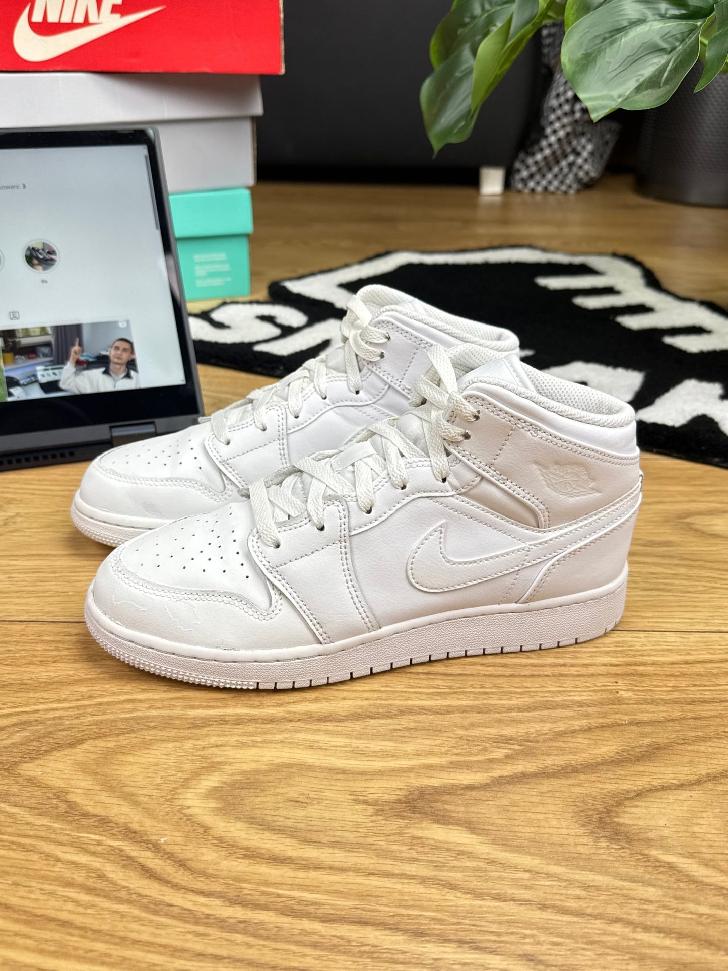 Nike Air Jordan 1 Mid (39)