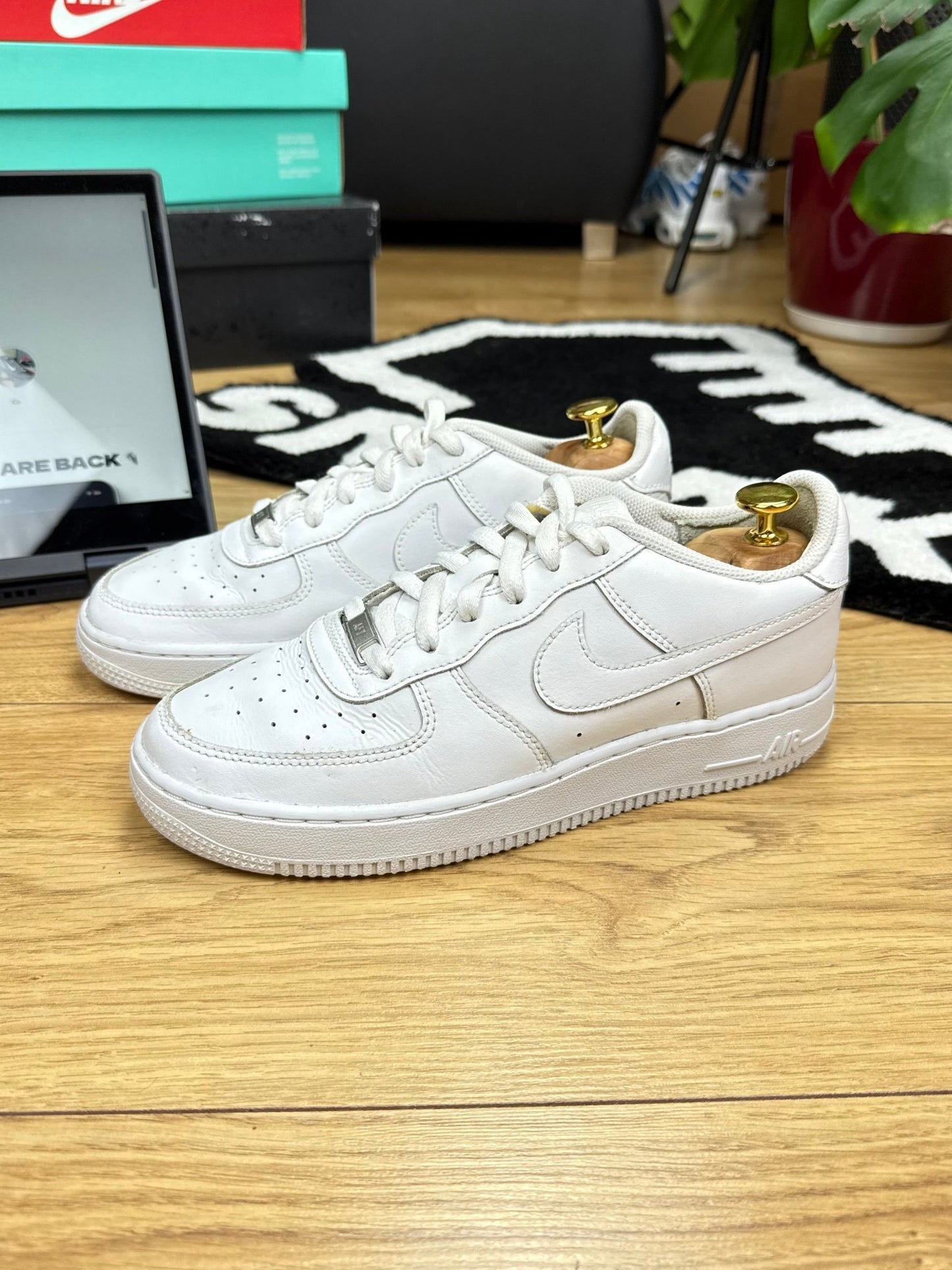 Nike Air Force 1 Low (39)
