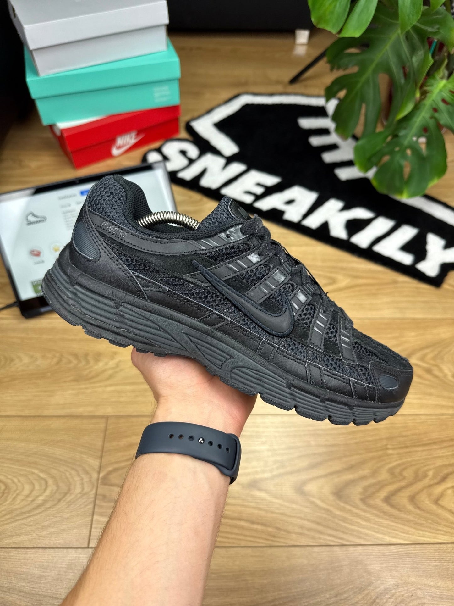Nike P6000 (44)