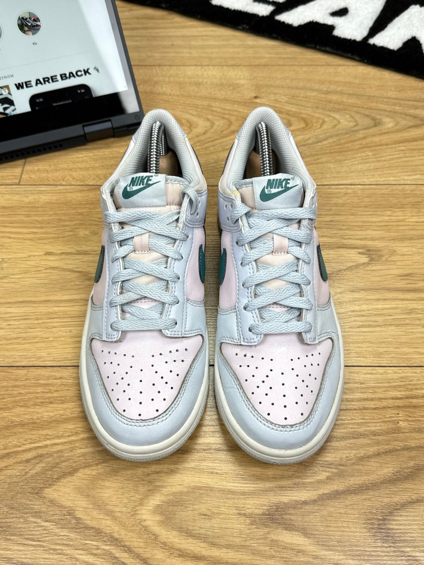 Nike Dunk Low (40)