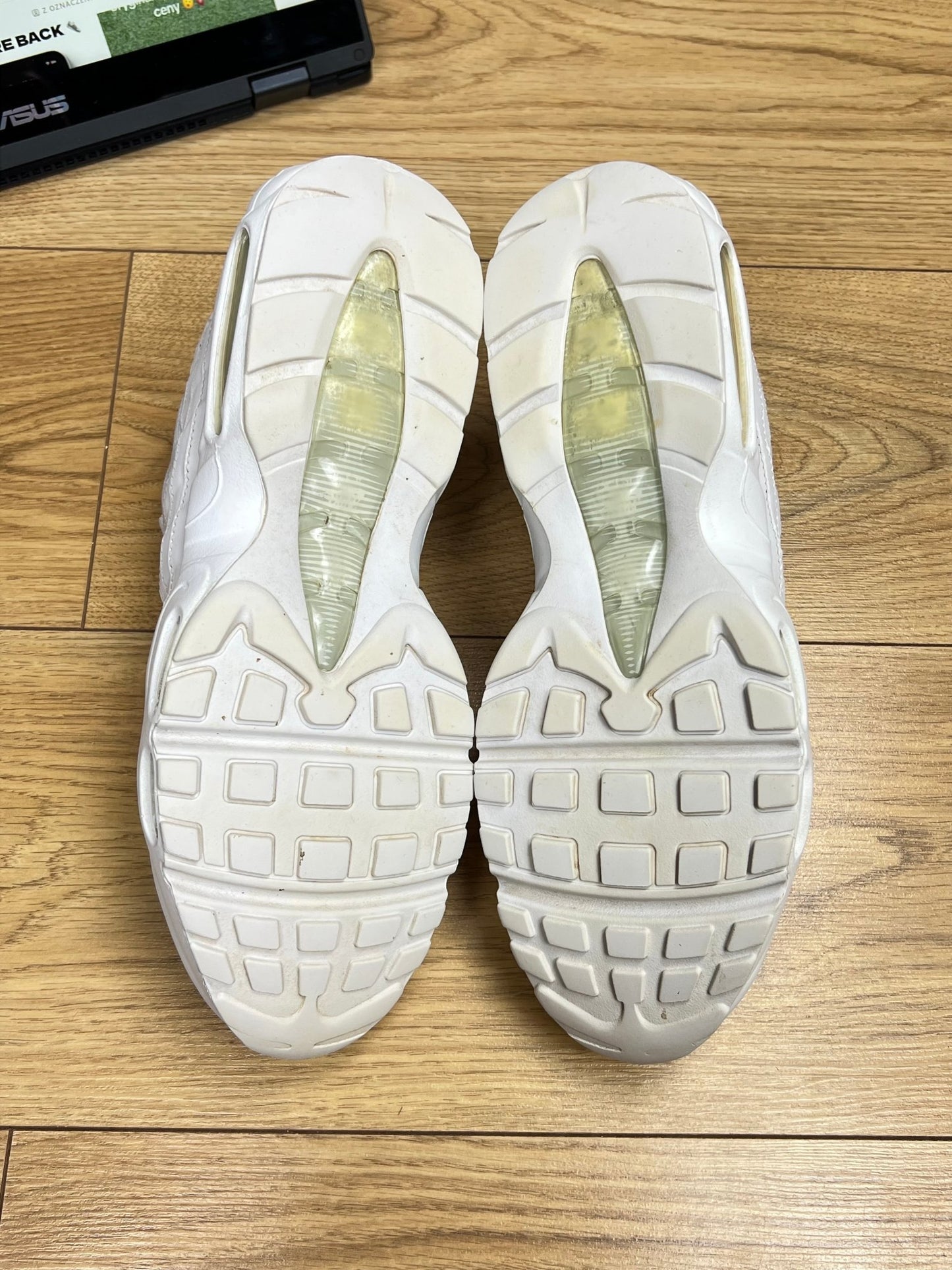 Nike Air Max 95 (46)