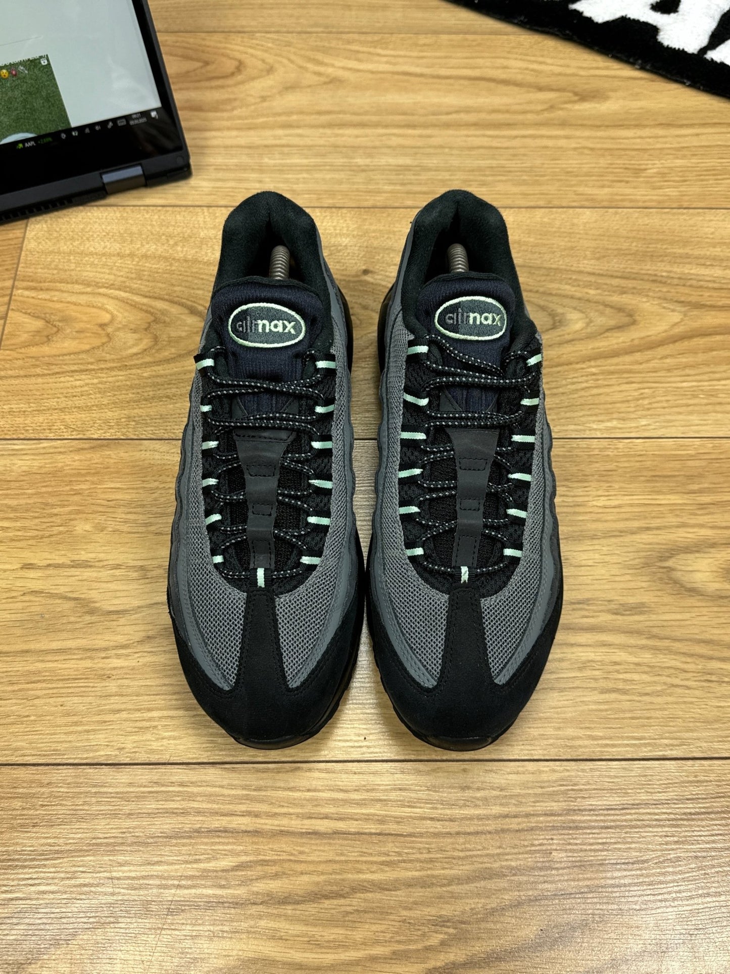 Nike Air Max 95 (43)