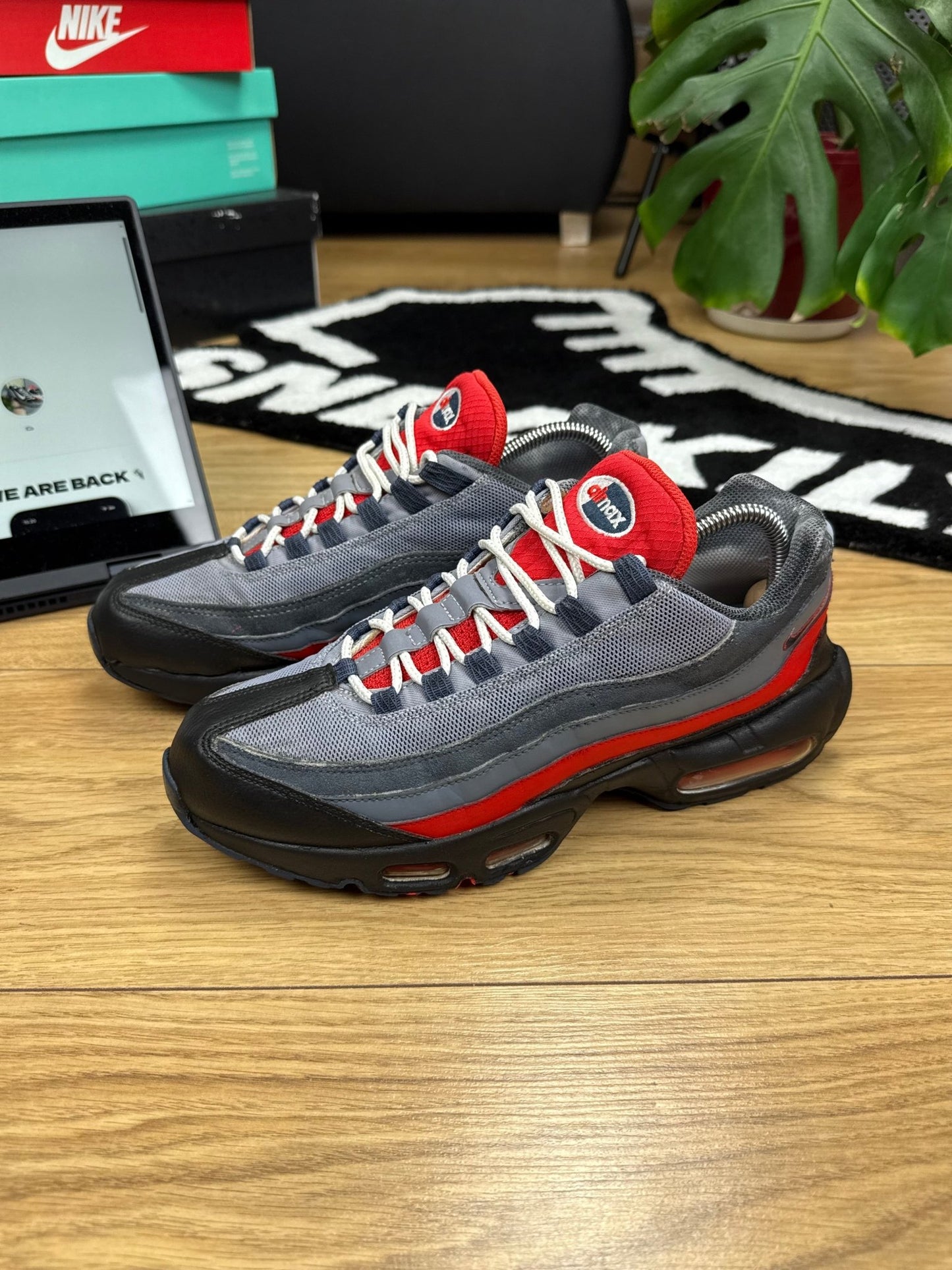 Nike Air Max 95 (43)