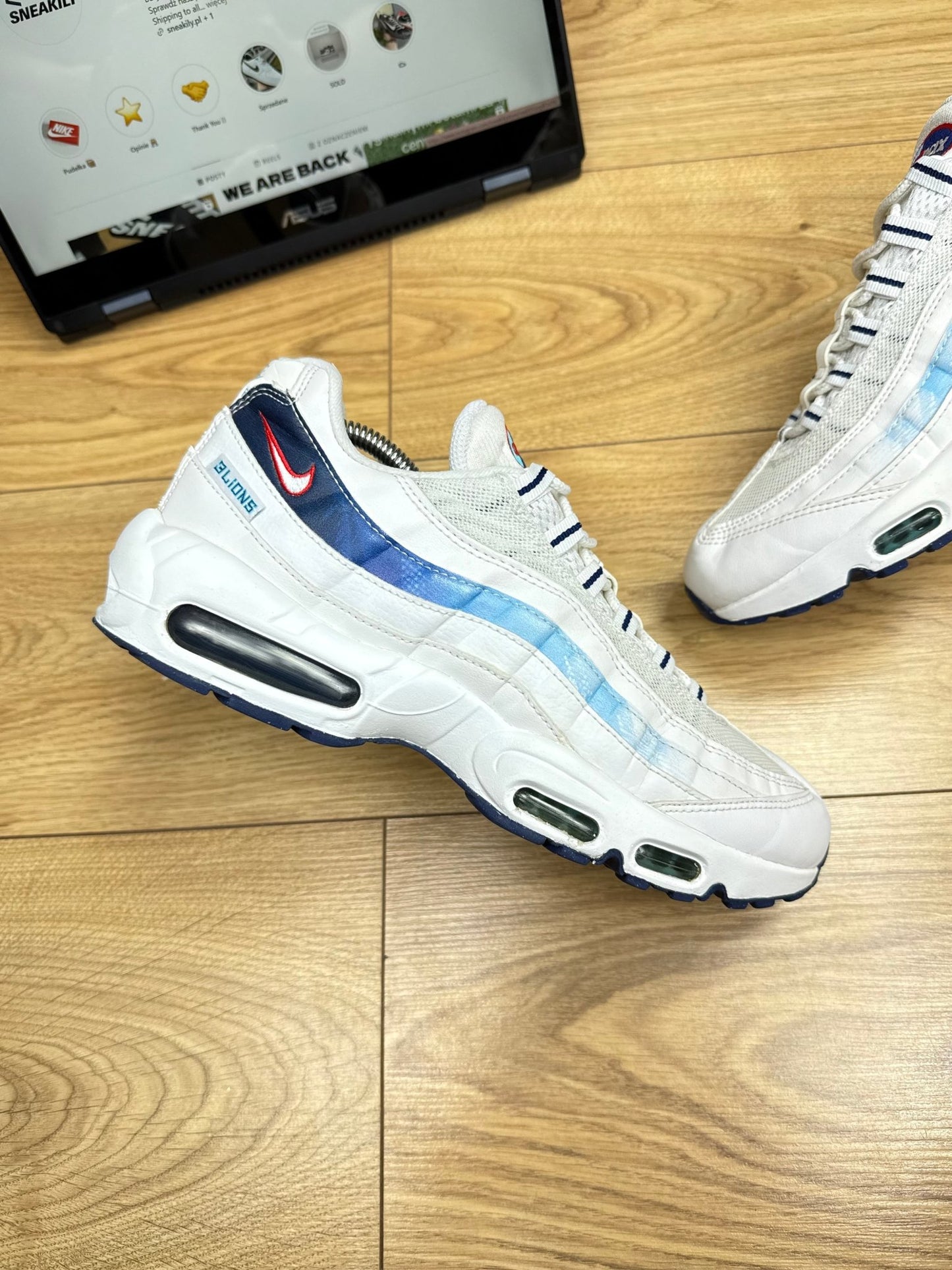 Nike Air Max 95 (44)