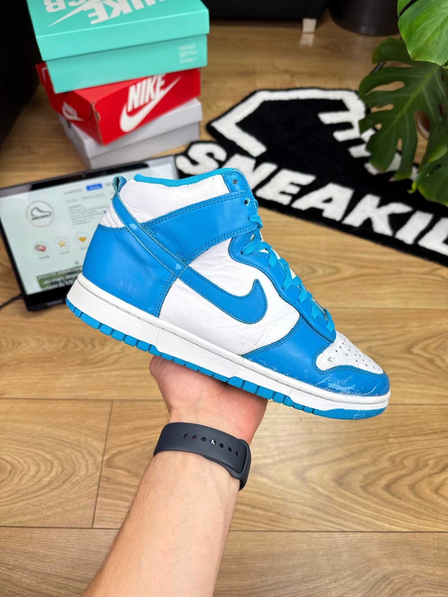 Nike Dunk High (43)