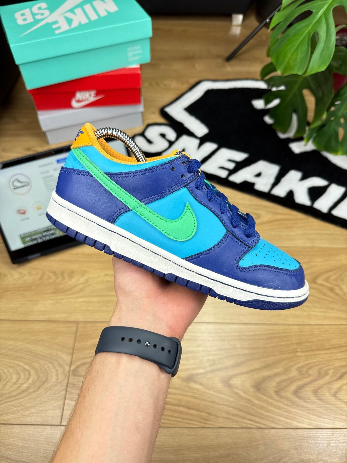 Nike Dunk Low (39)