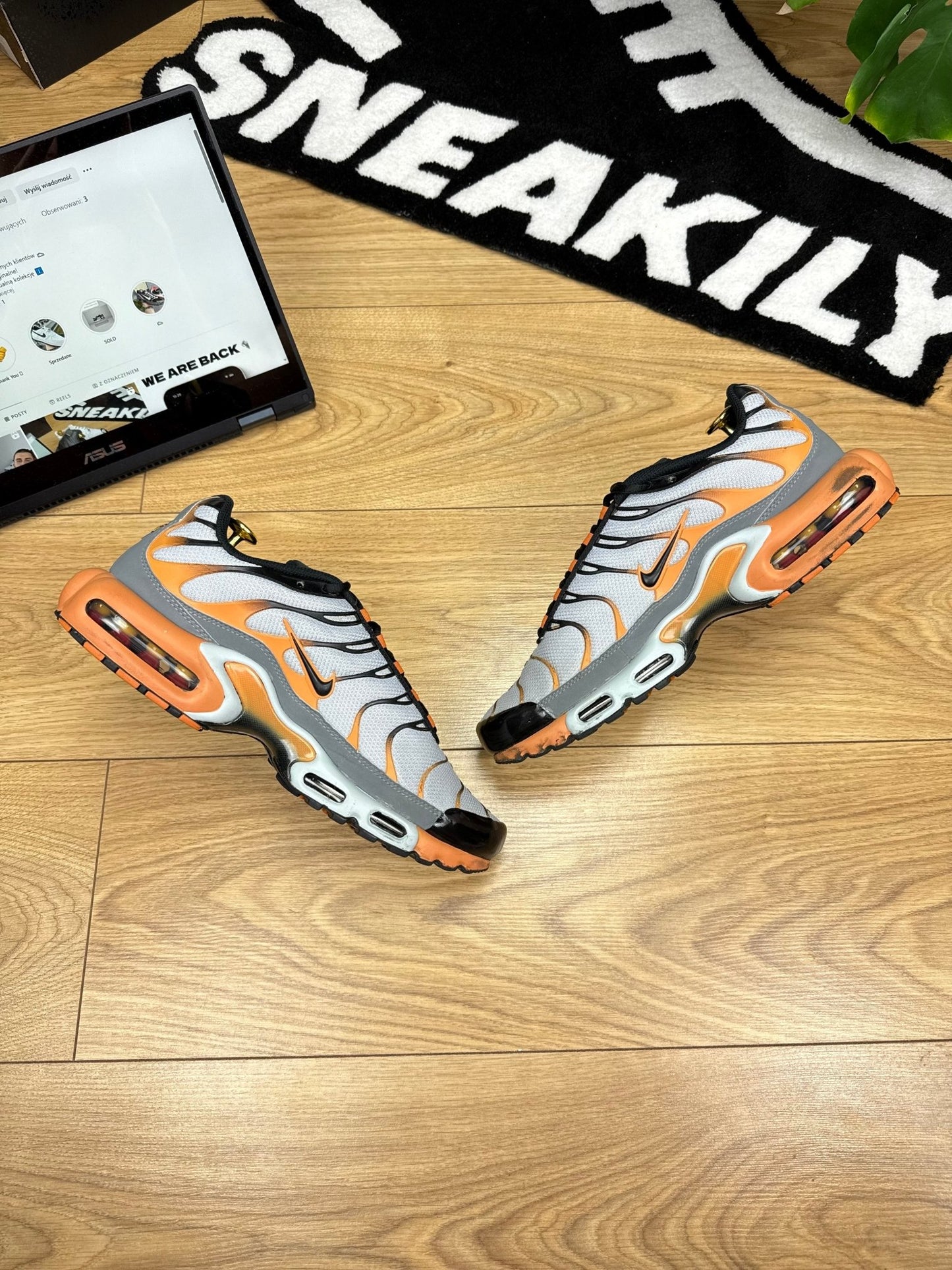 Nike Air Max Plus TN (44)