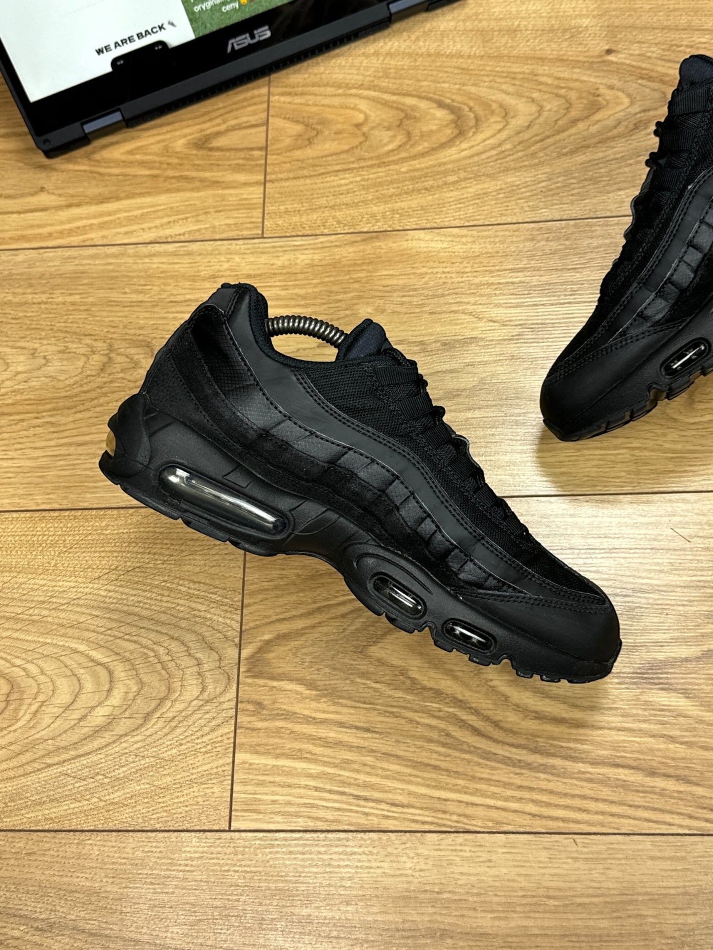 Nike Air Max 95 (43)