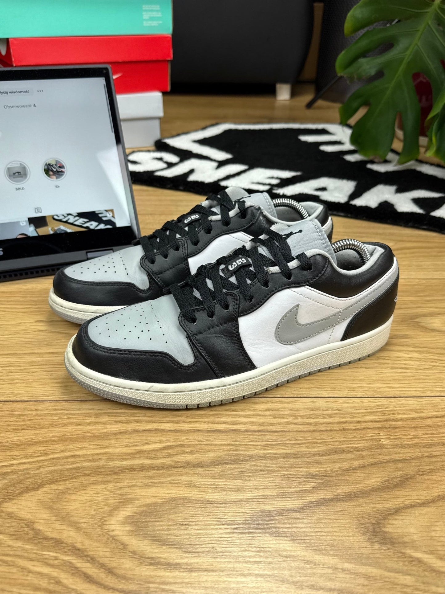 Nike Air Jordan 1 Low (43)
