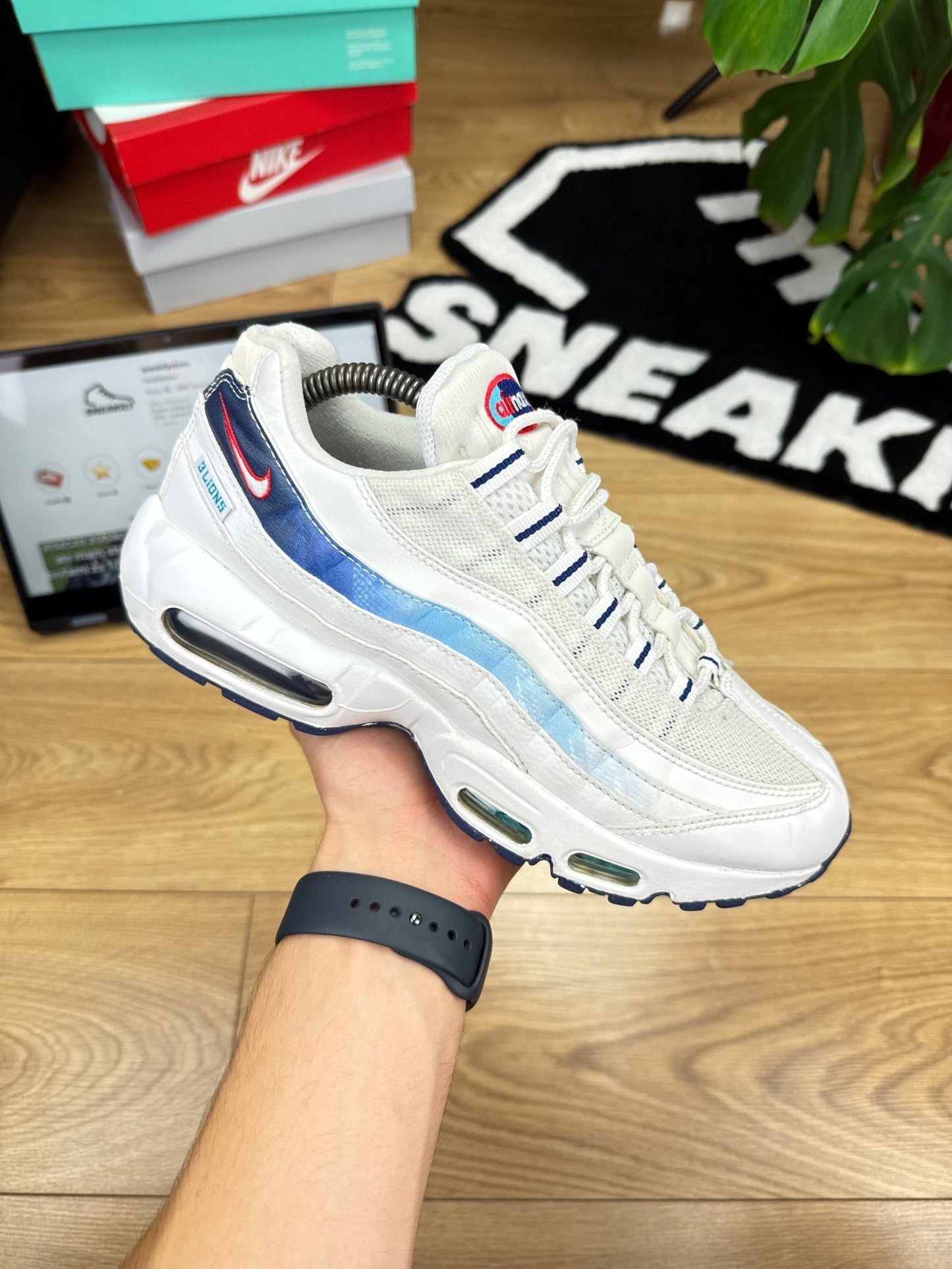 Nike Air Max 95 (42)