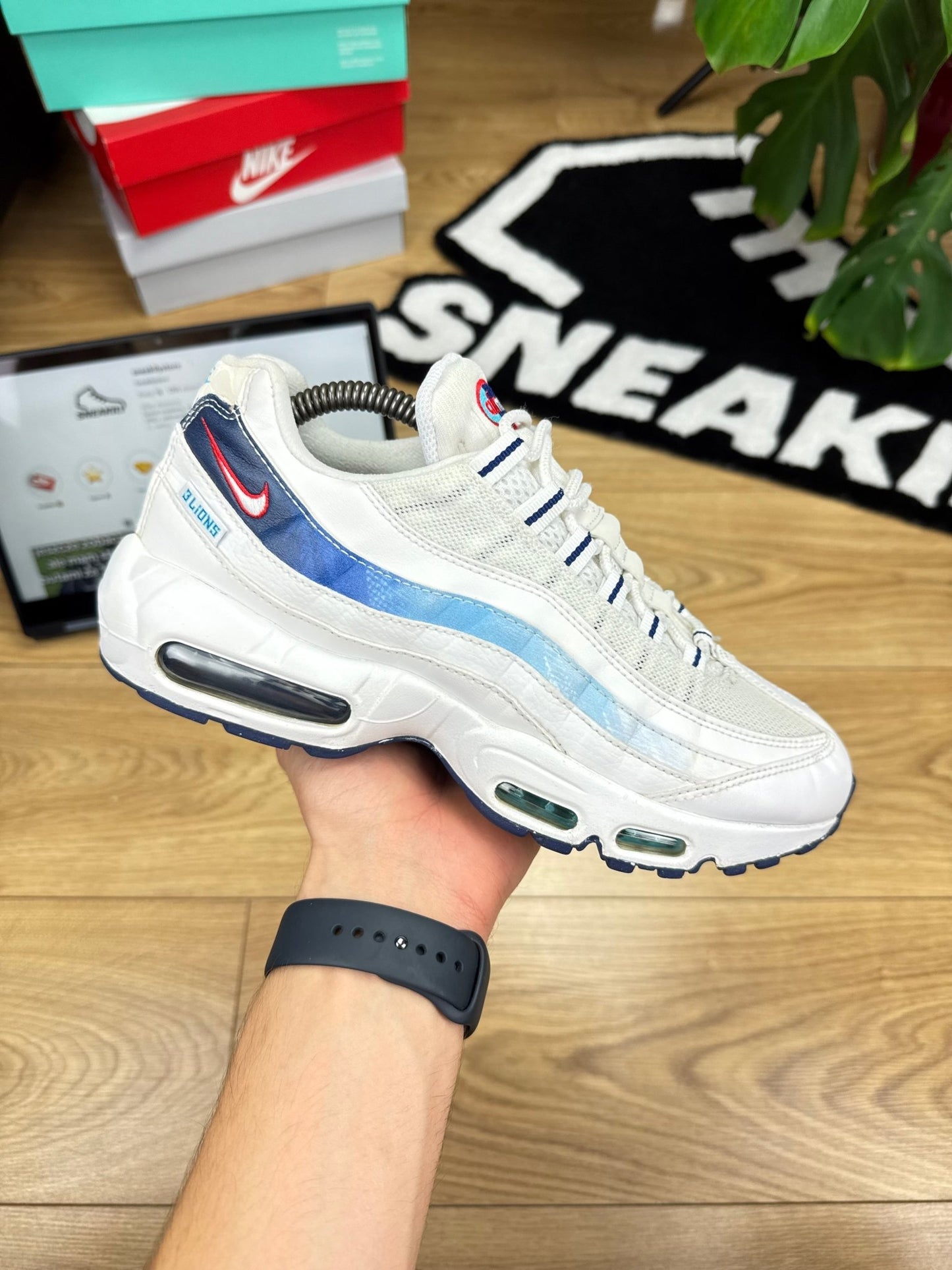 Nike Air Max 95 (42)