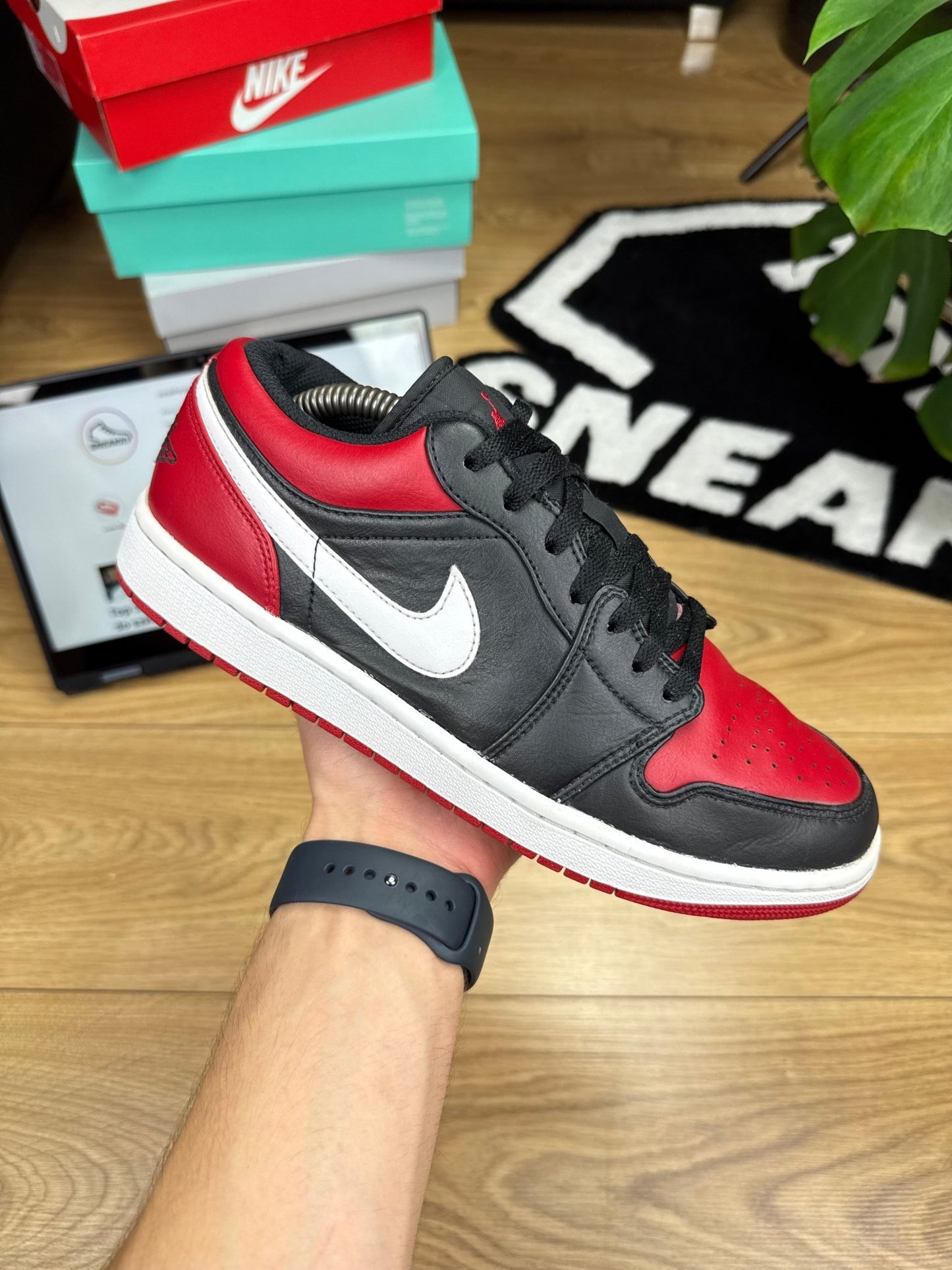 Nike Air Jordan 1 Low (44)