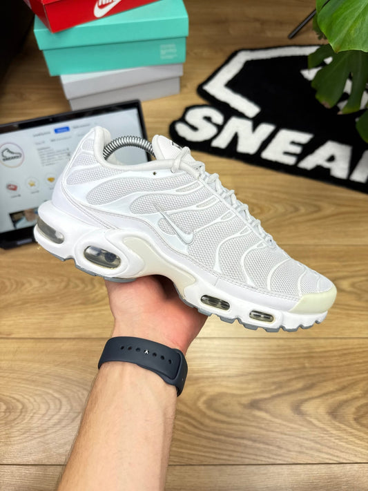 Nike Air Max Plus (42)