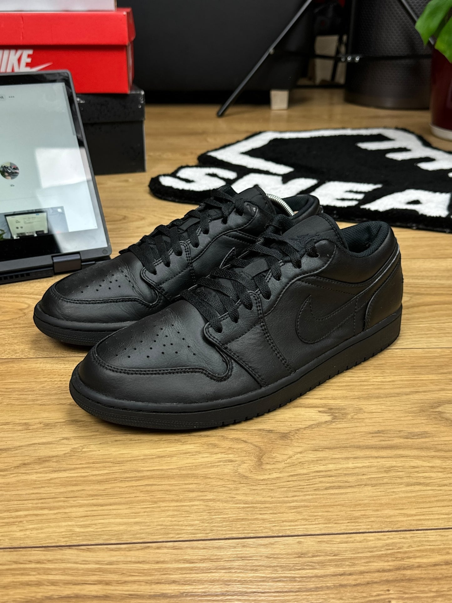 Nike Air Jordan 1 Low (45)