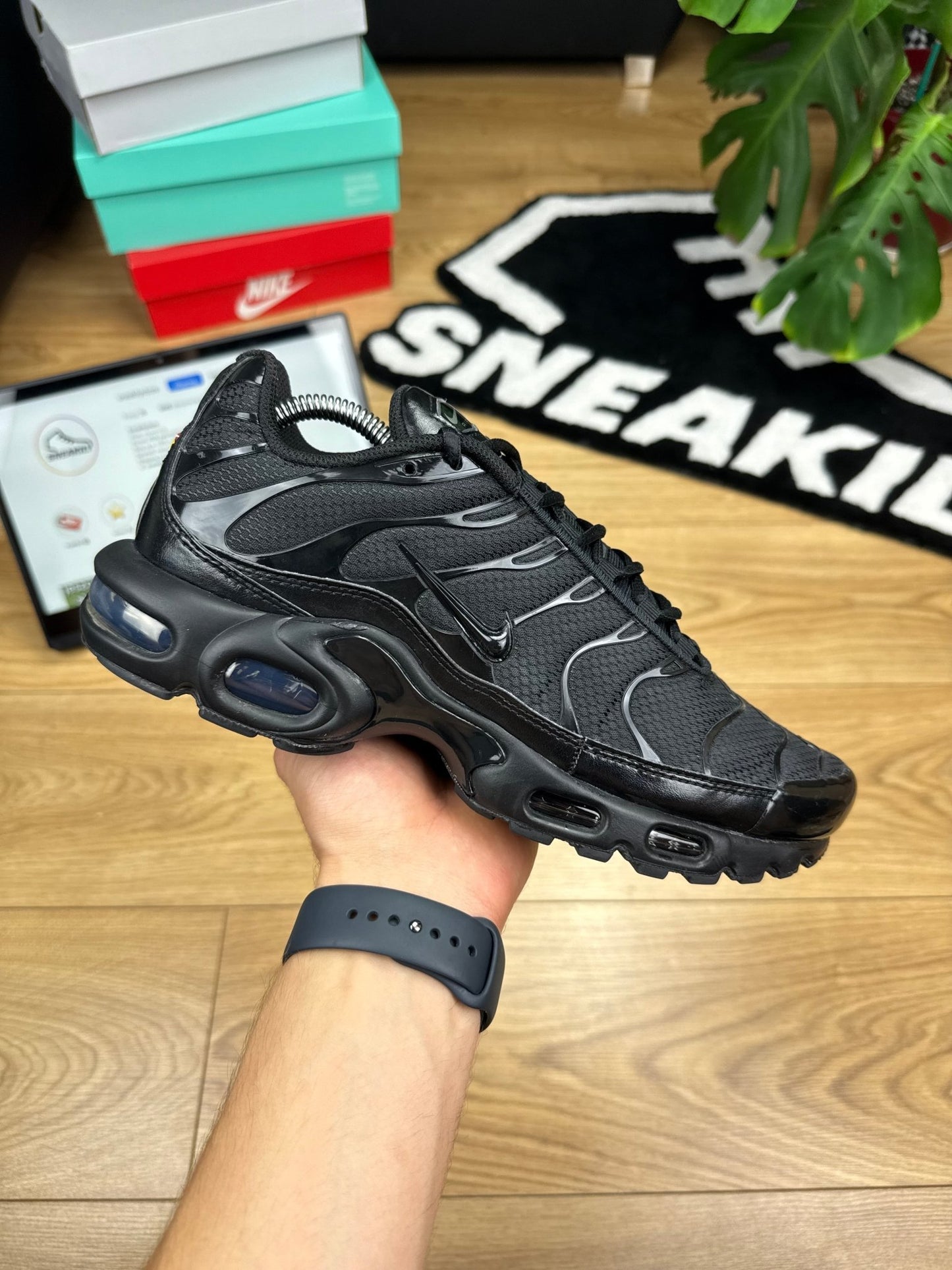 Nike Air Max Plus TN (43)