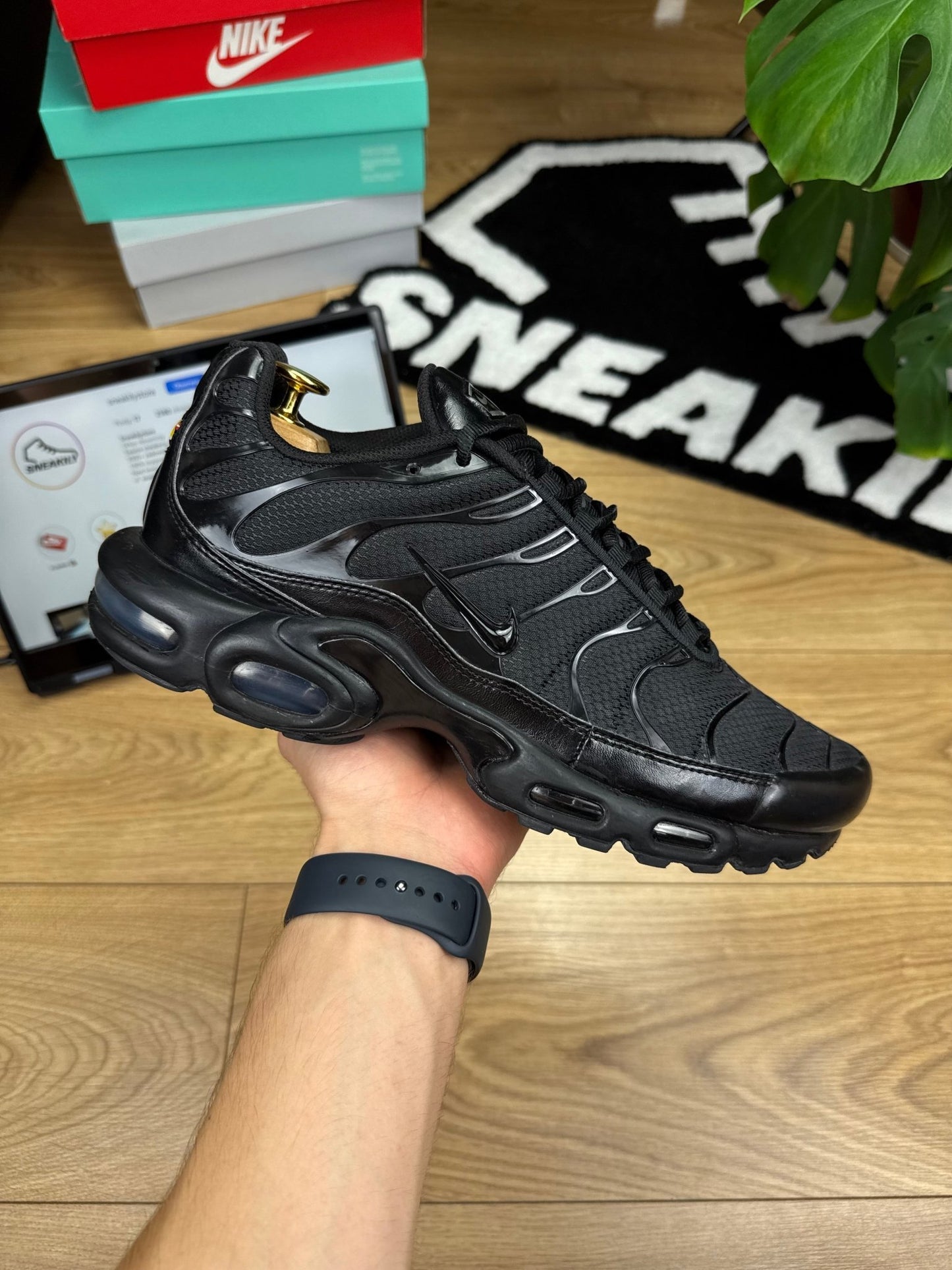 Nike Air Max Plus (45.5)