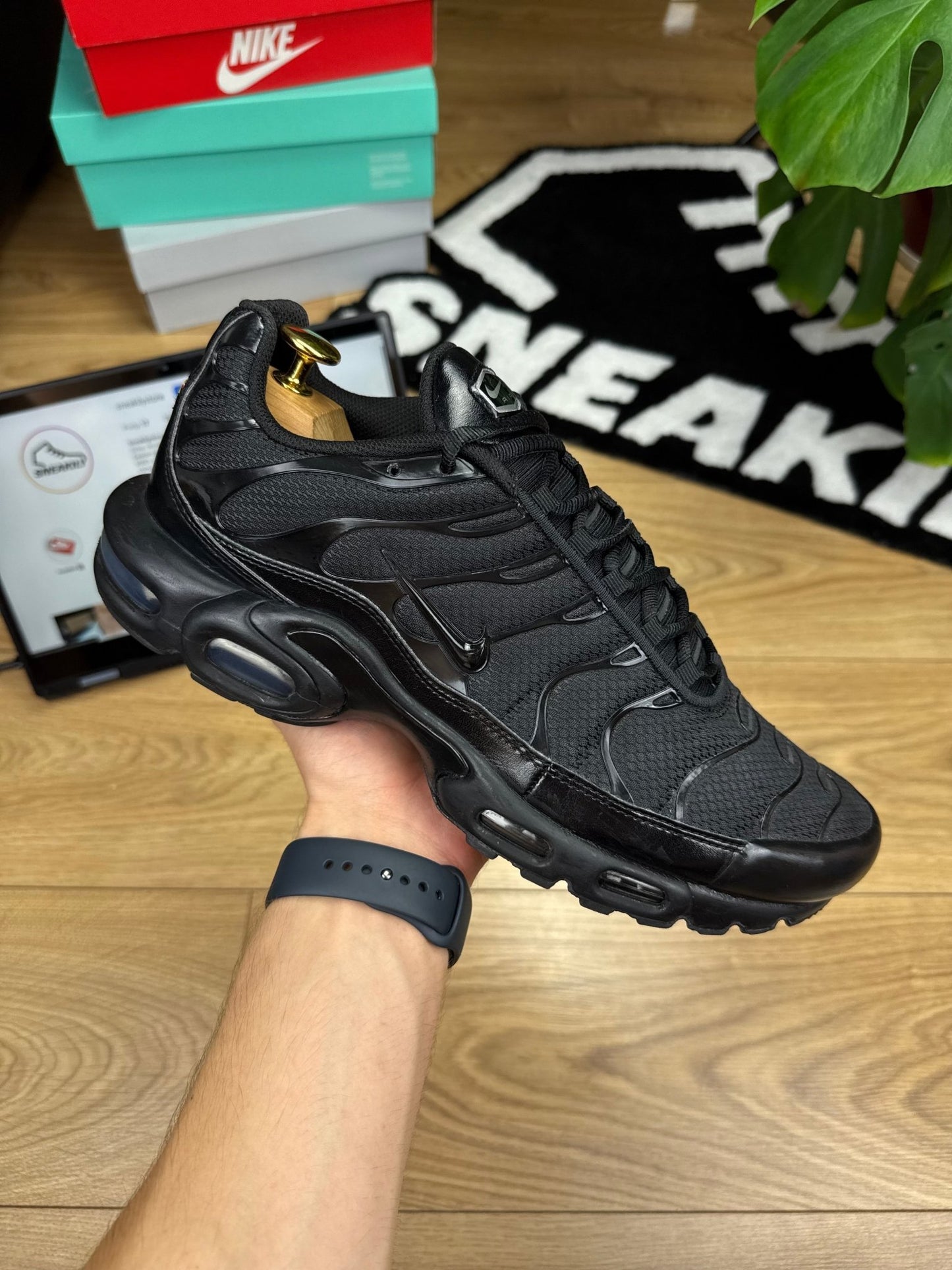 Nike Air Max Plus (45.5)