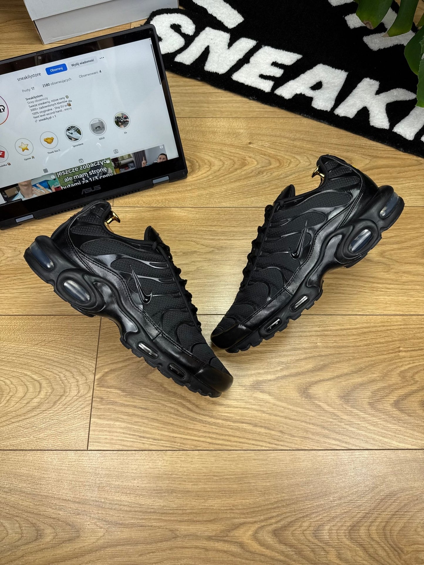 Nike Air Max Plus (45.5)