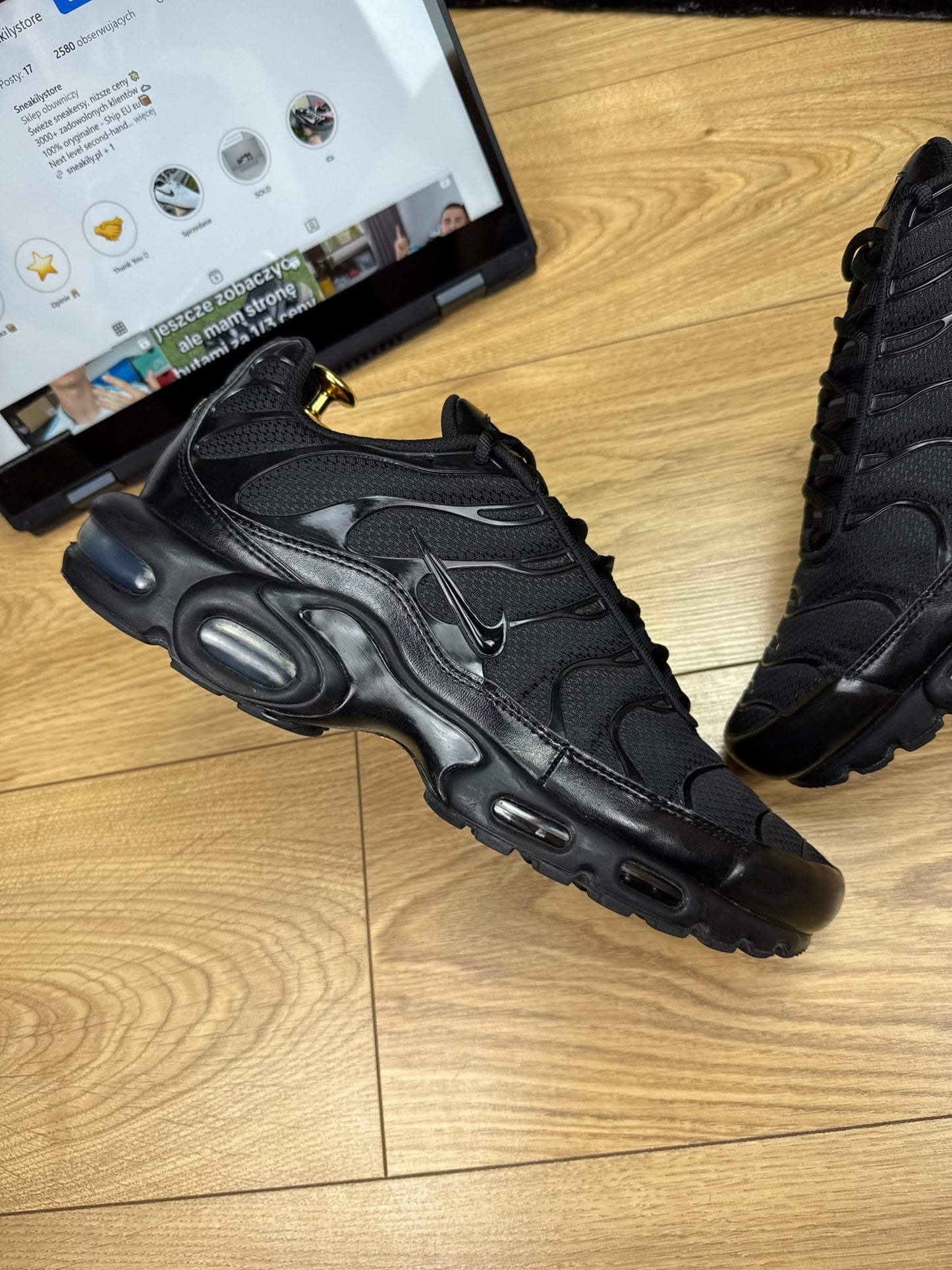 Nike Air Max Plus (45.5)