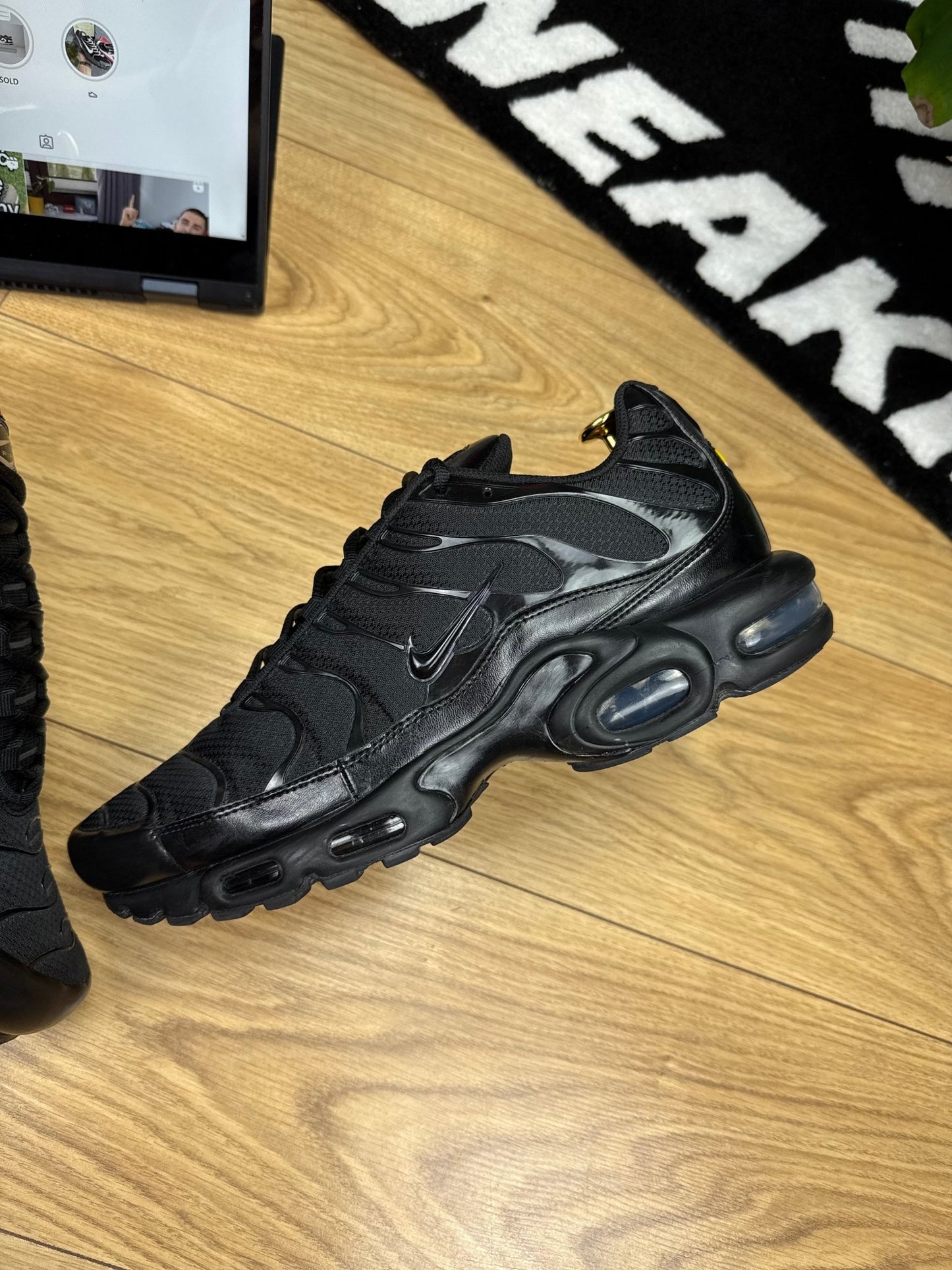 Nike Air Max Plus (45.5)