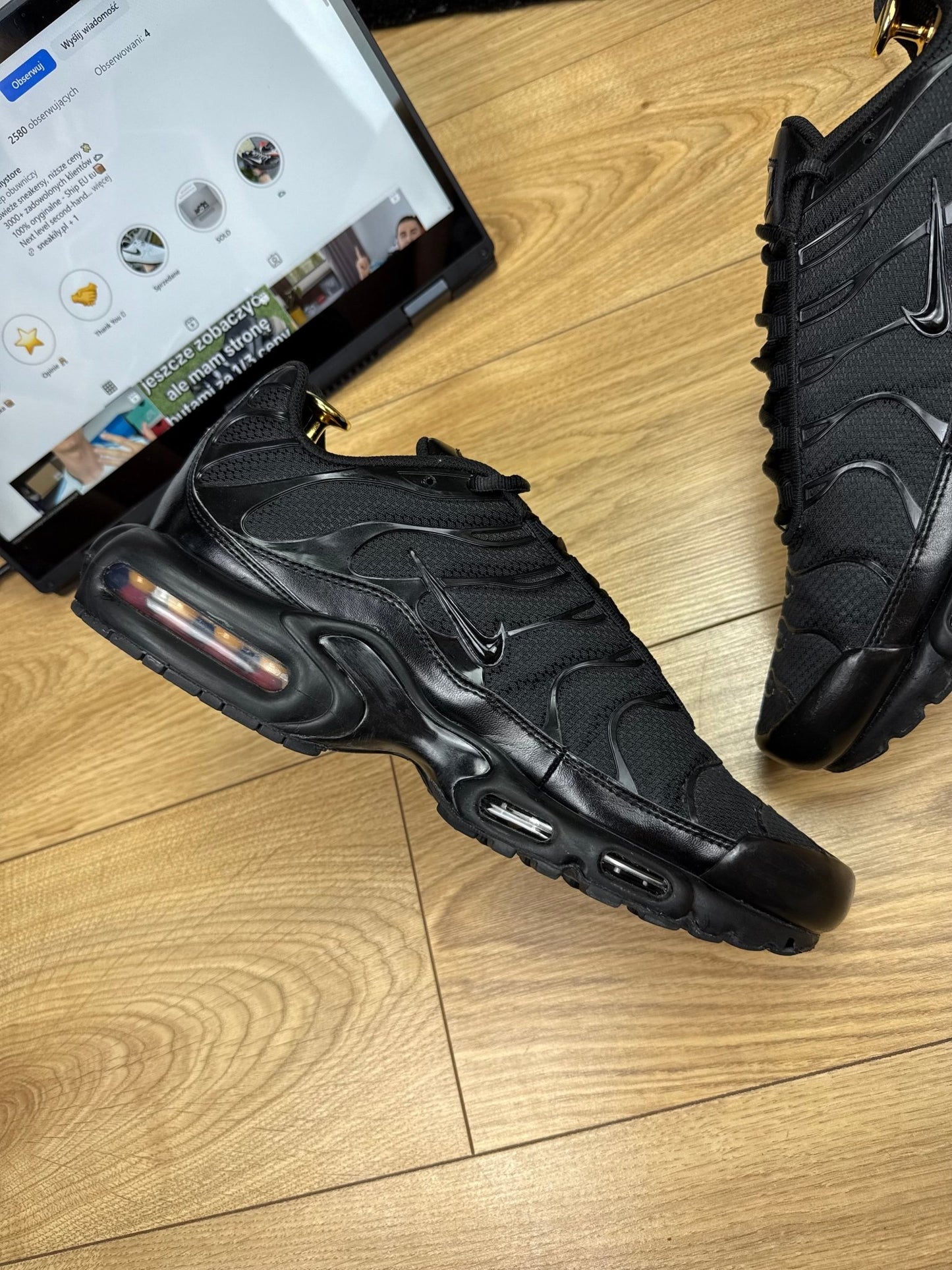 Nike Air Max Plus (45.5)