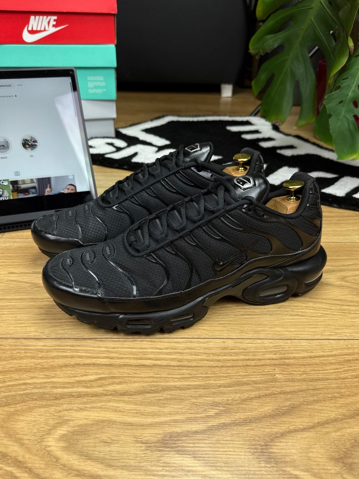 Nike Air Max Plus (45.5)