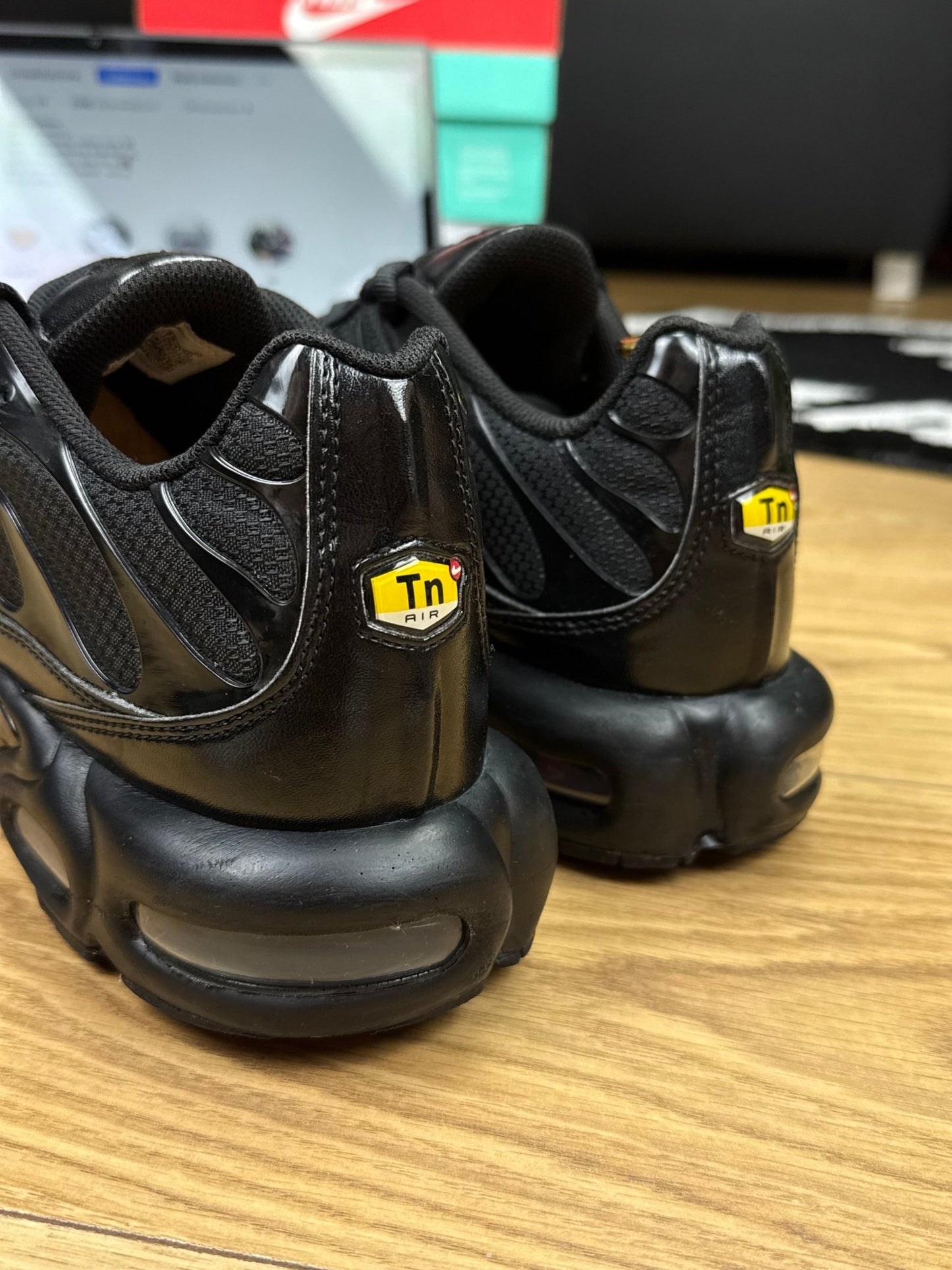 Nike Air Max Plus (45.5)