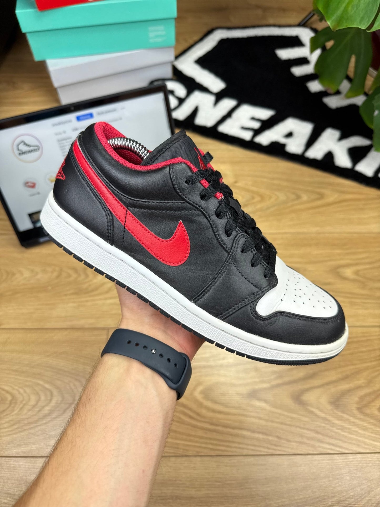 Nike Air Jordan 1 Low (42)