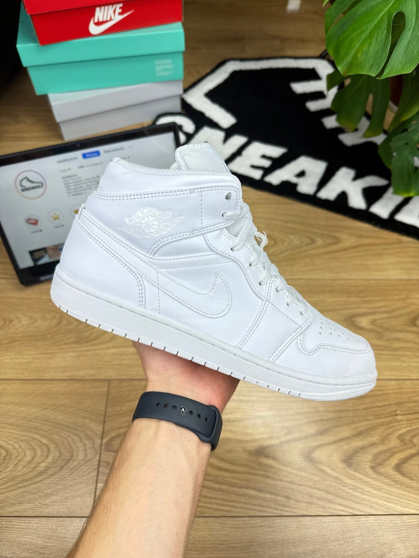 Nike Air Jordan 1 Mid (45)