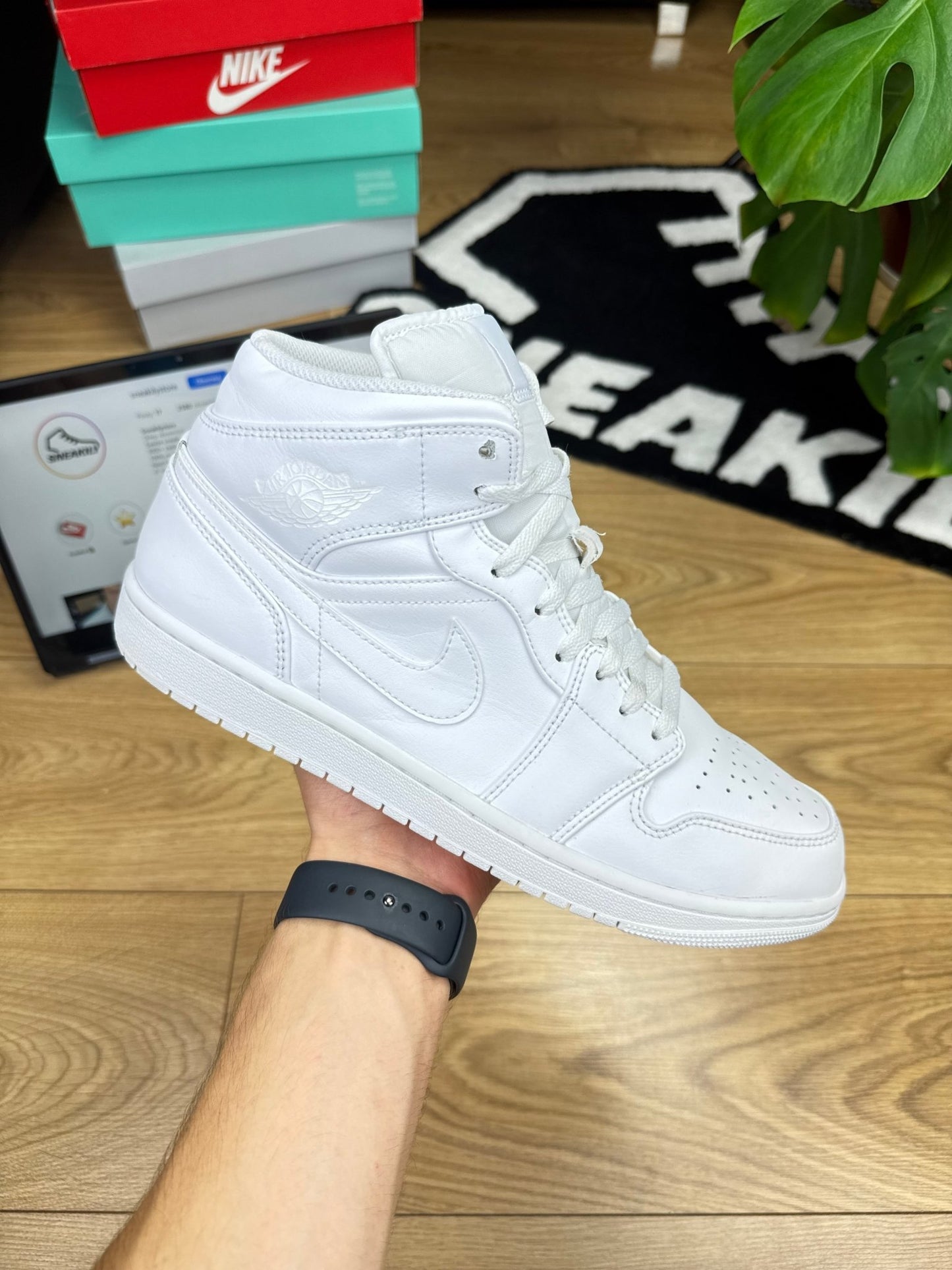 Nike Air Jordan 1 Mid (45)