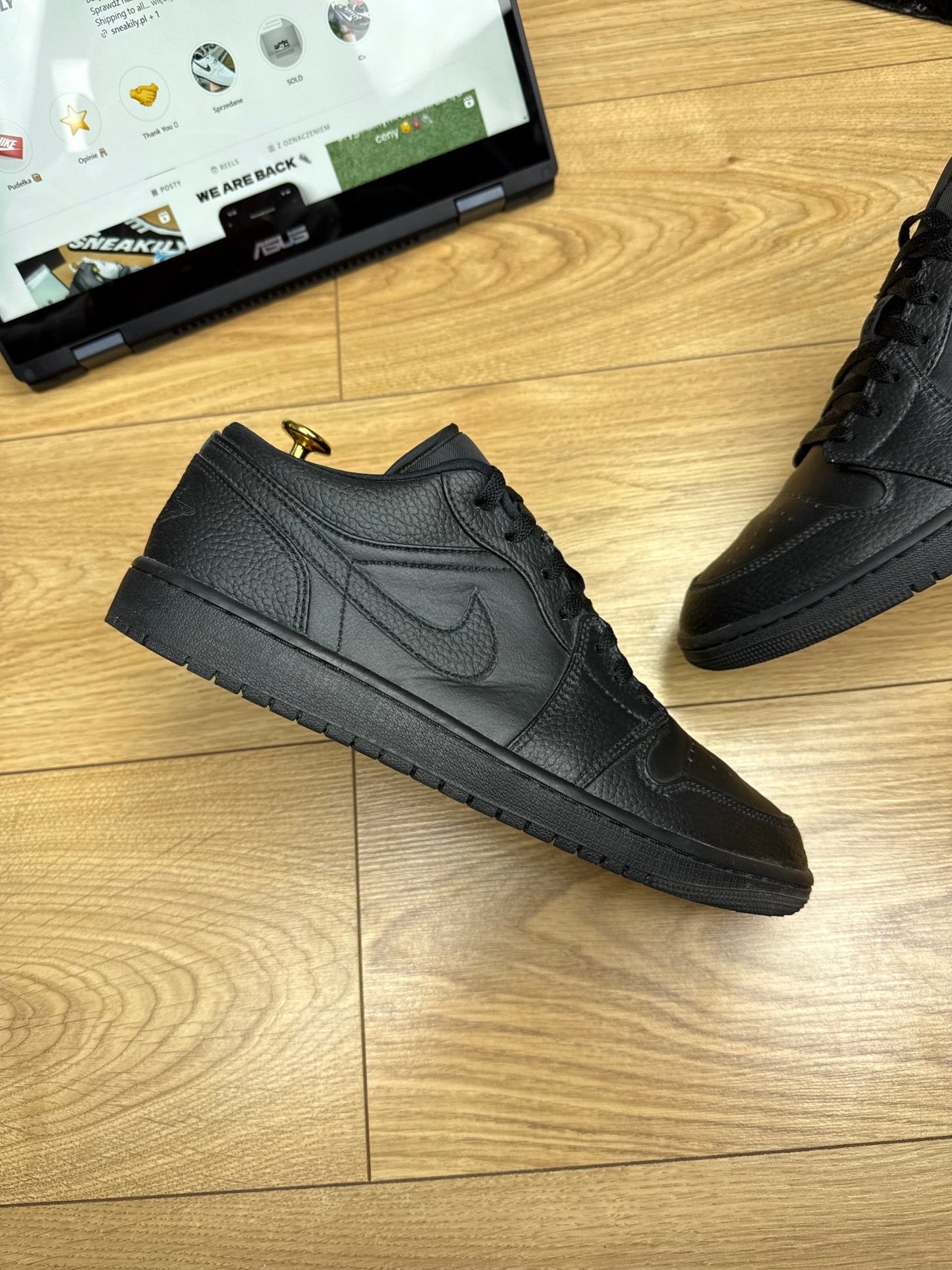 Nike Air Jordan 1 Low (44)
