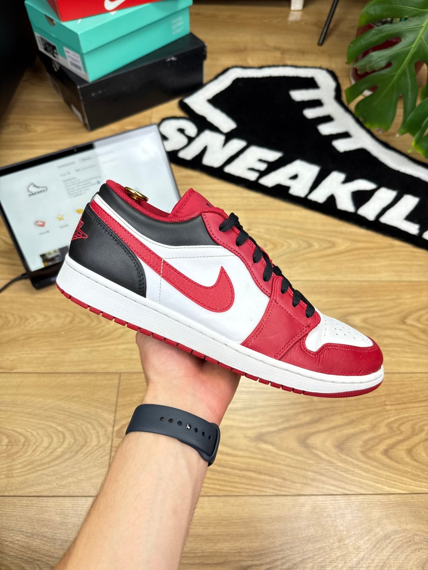 Nike Air Jordan 1 Low (46)