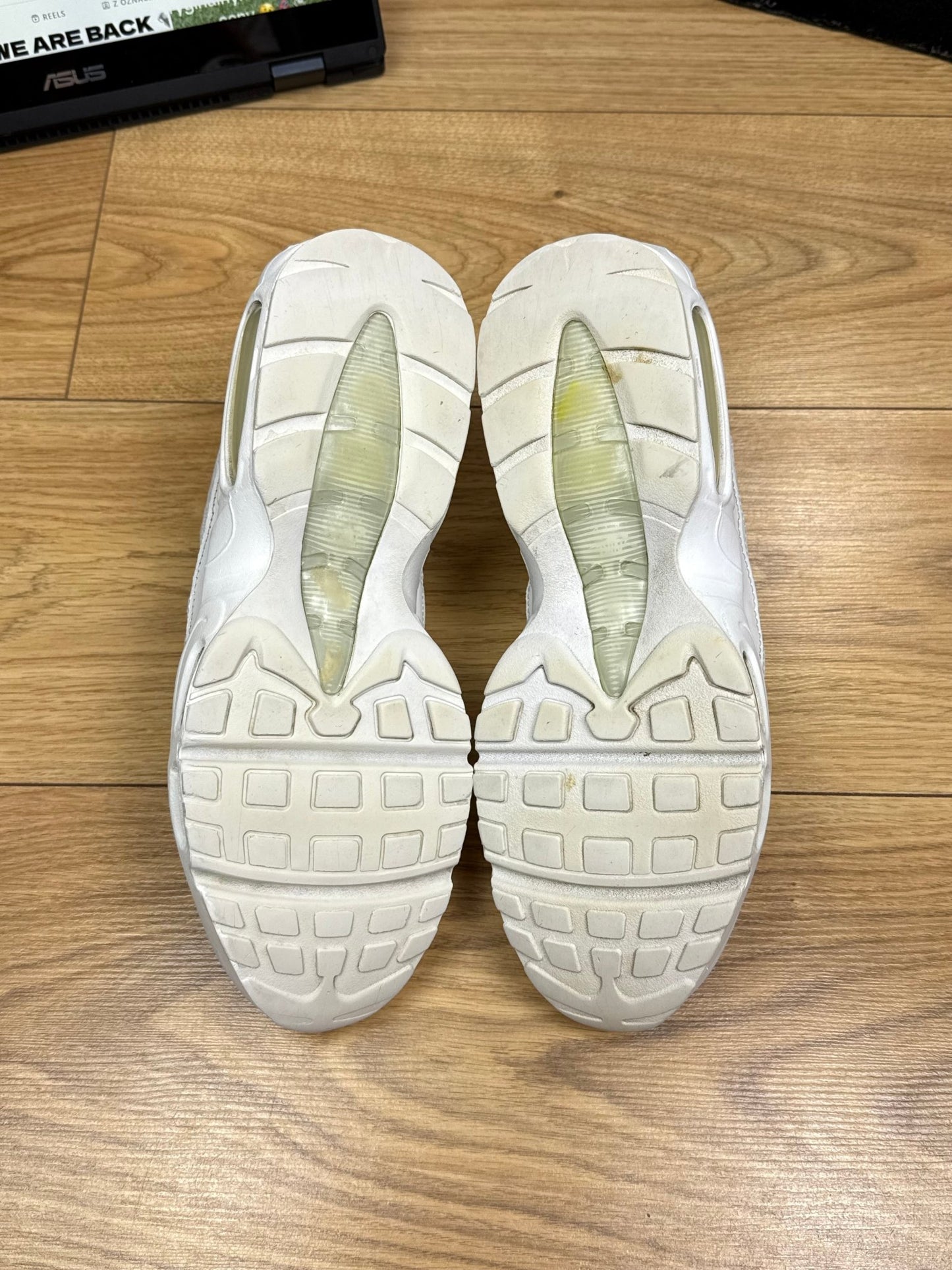 Nike Air Max 95 (43)