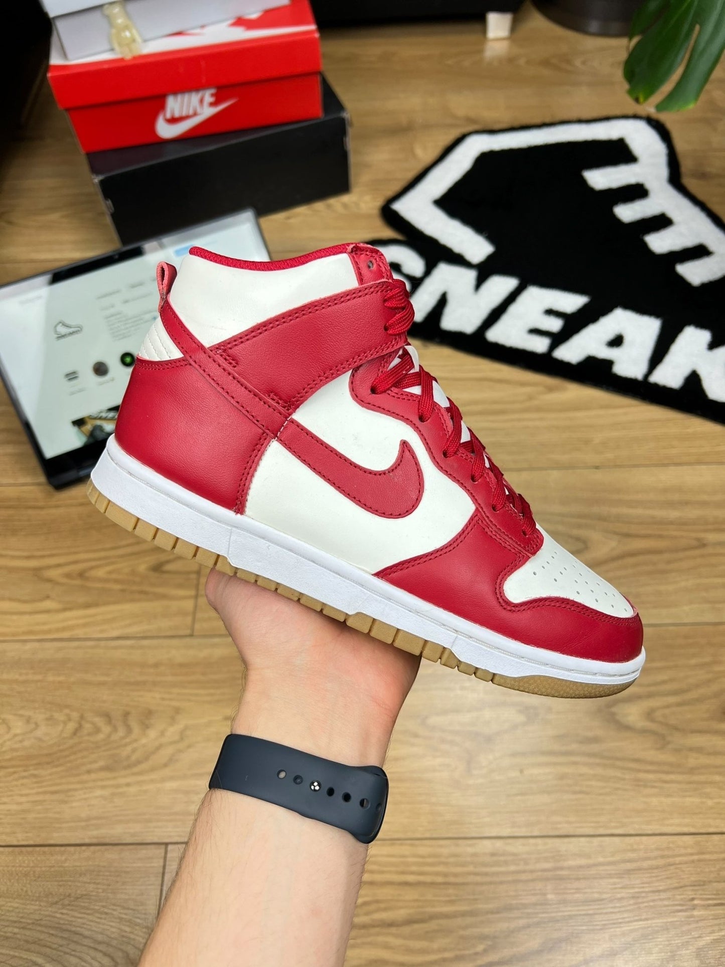 Nike Dunk High (40)